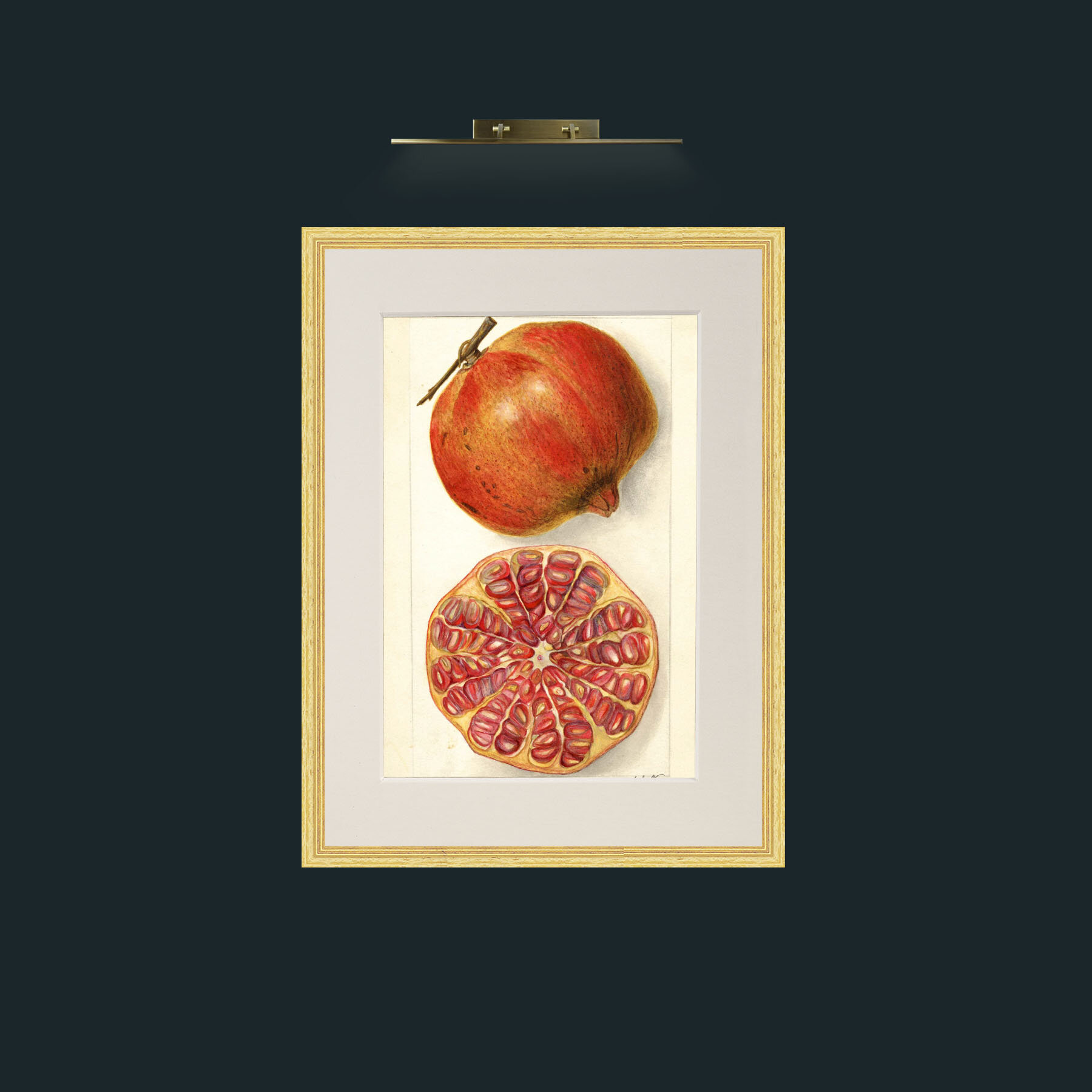Art-Pomegranate and a half.jpg-Frame-4BevelledGilt-Mount-1Antique.jpg