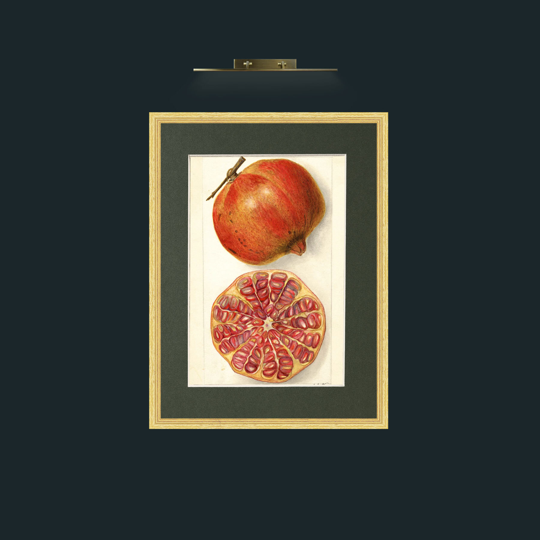 Art-Pomegranate and a half.jpg-Frame-4BevelledGilt-Mount-2Green.jpg