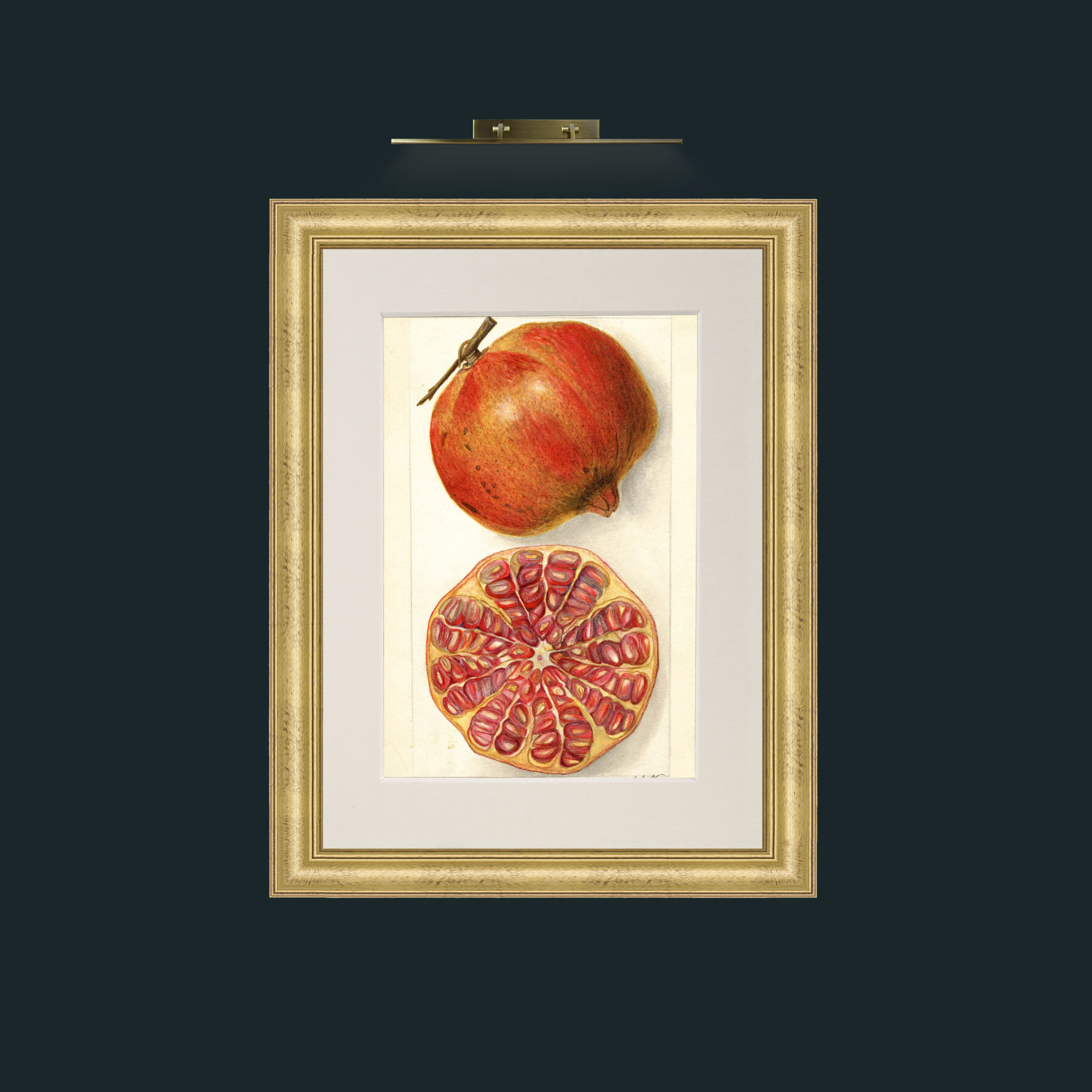 Art-Pomegranate and a half.jpg-Frame-9WideGilt-Mount-1Antique.jpg