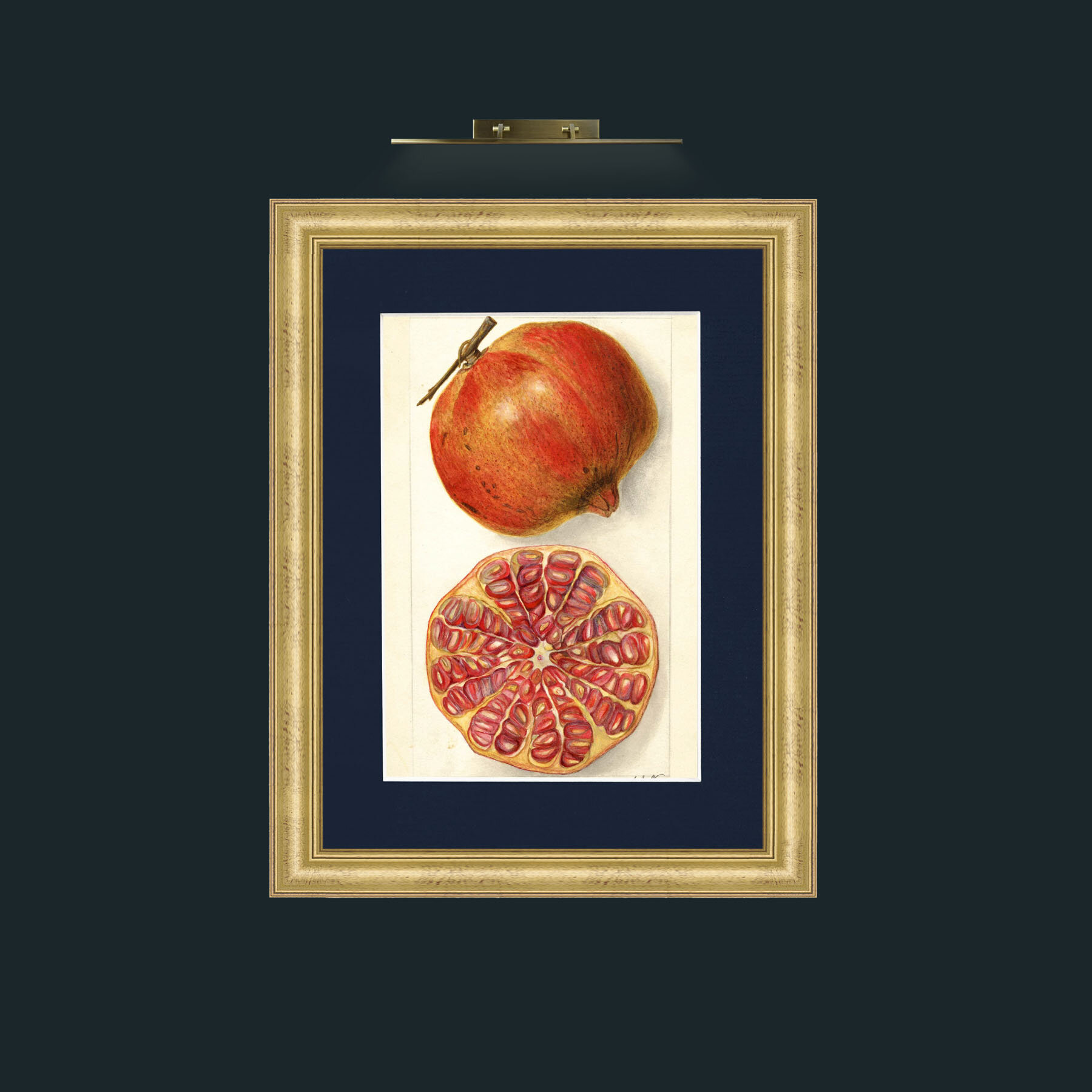 Art-Pomegranate and a half.jpg-Frame-9WideGilt-Mount-3Blue.jpg