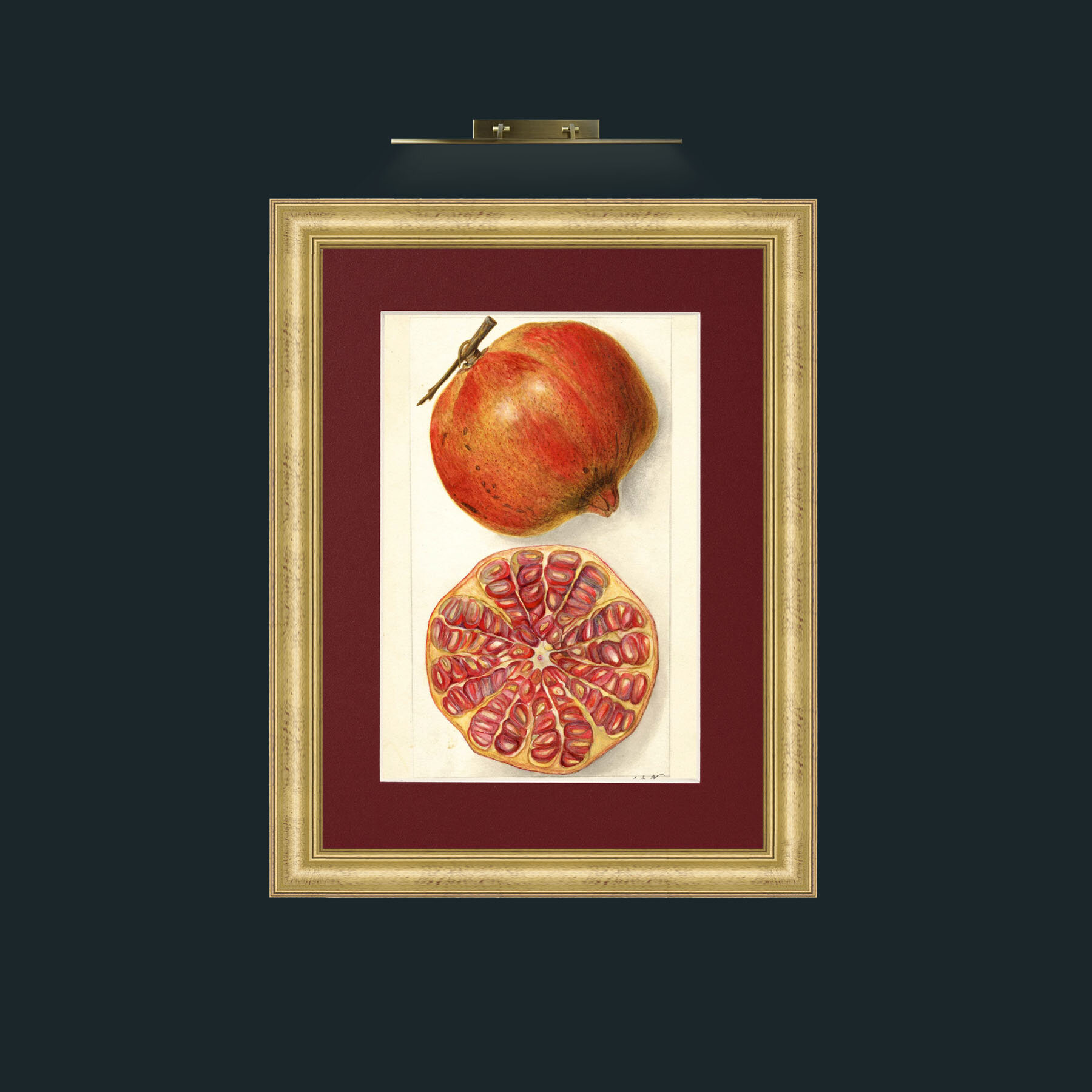 Art-Pomegranate and a half.jpg-Frame-9WideGilt-Mount-4Red.jpg
