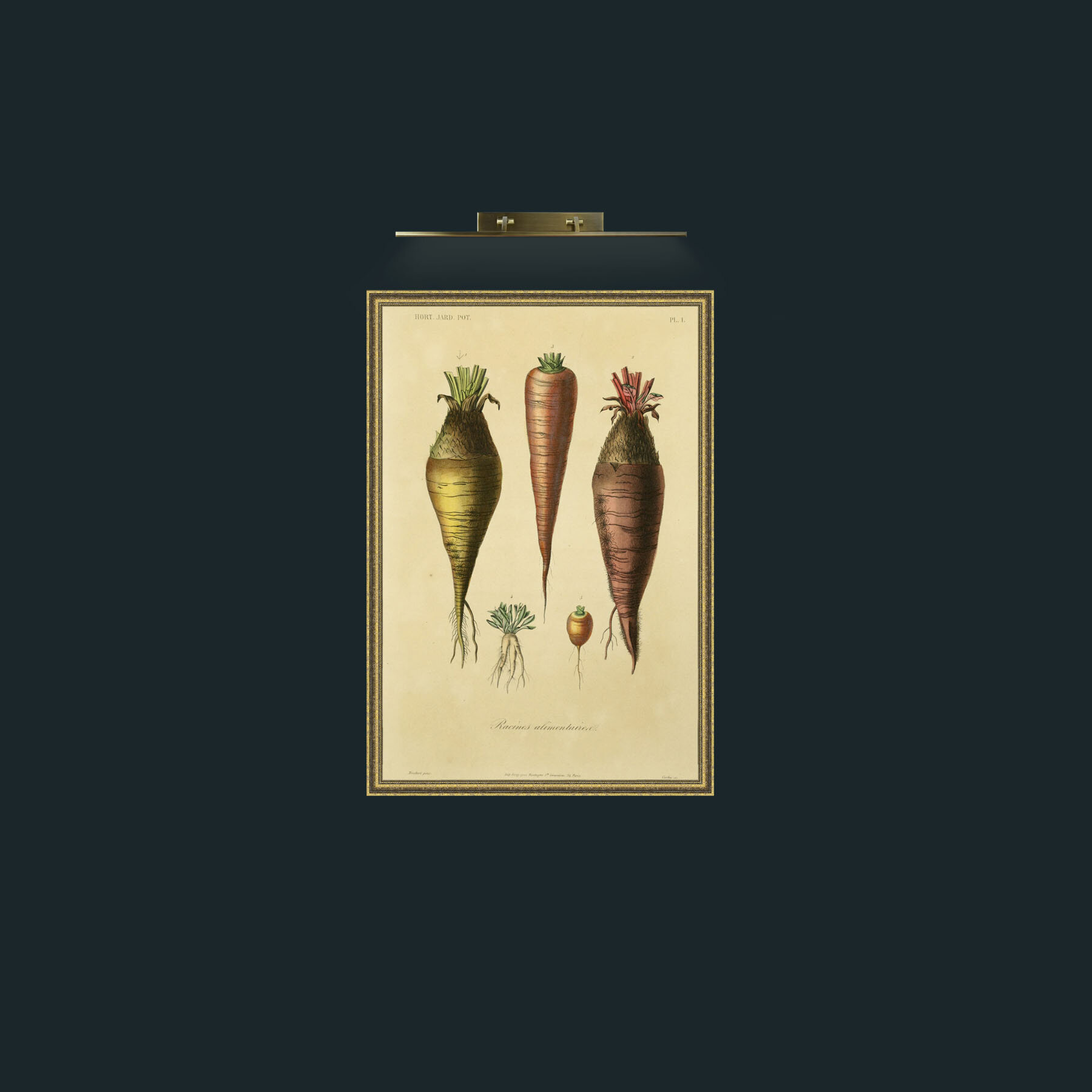 Art-Racines Alimentavica-Frame-1GiltTextured.jpg