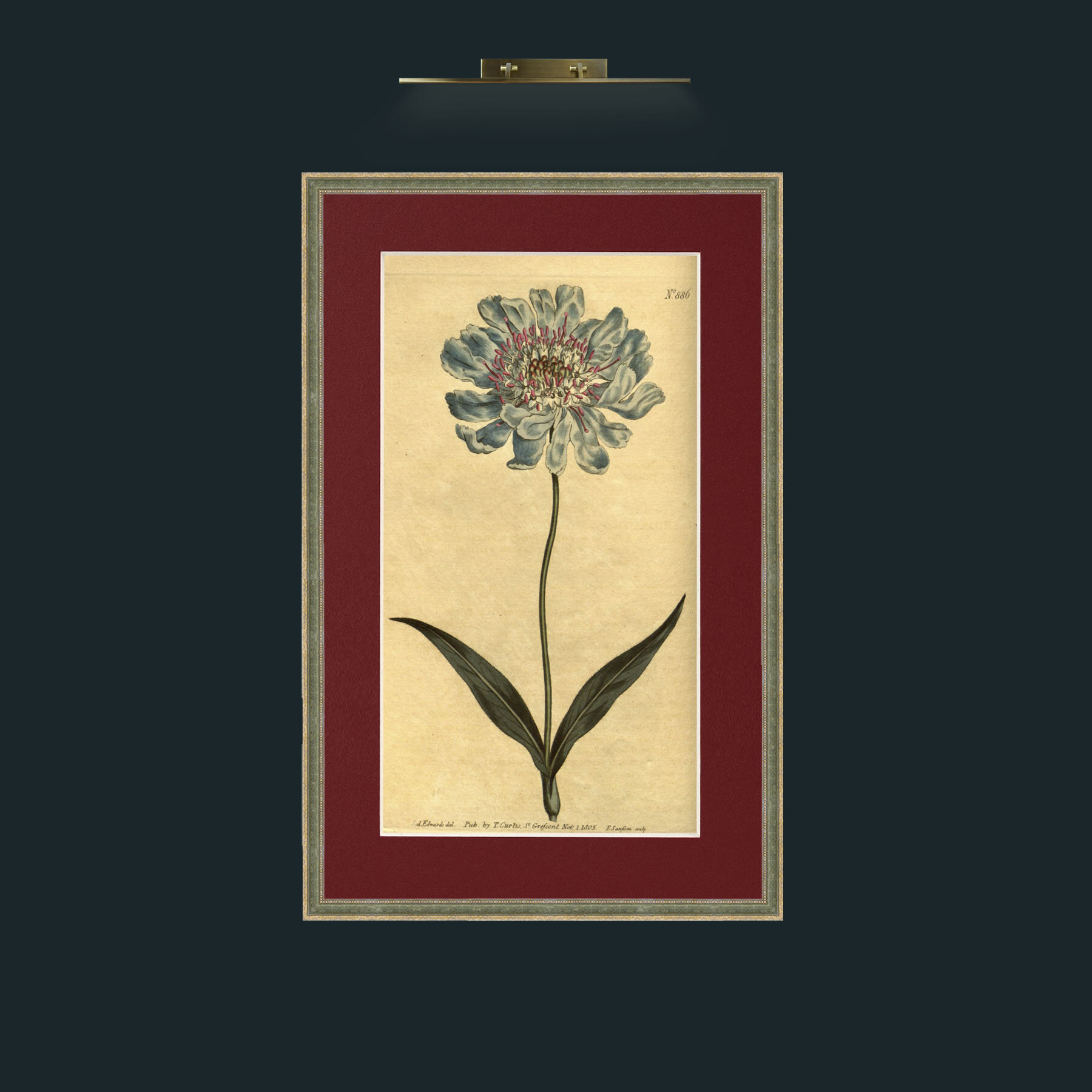 Art-Scabious.jpg-Frame-2GreenGoldTextured-Mount-4Red.jpg