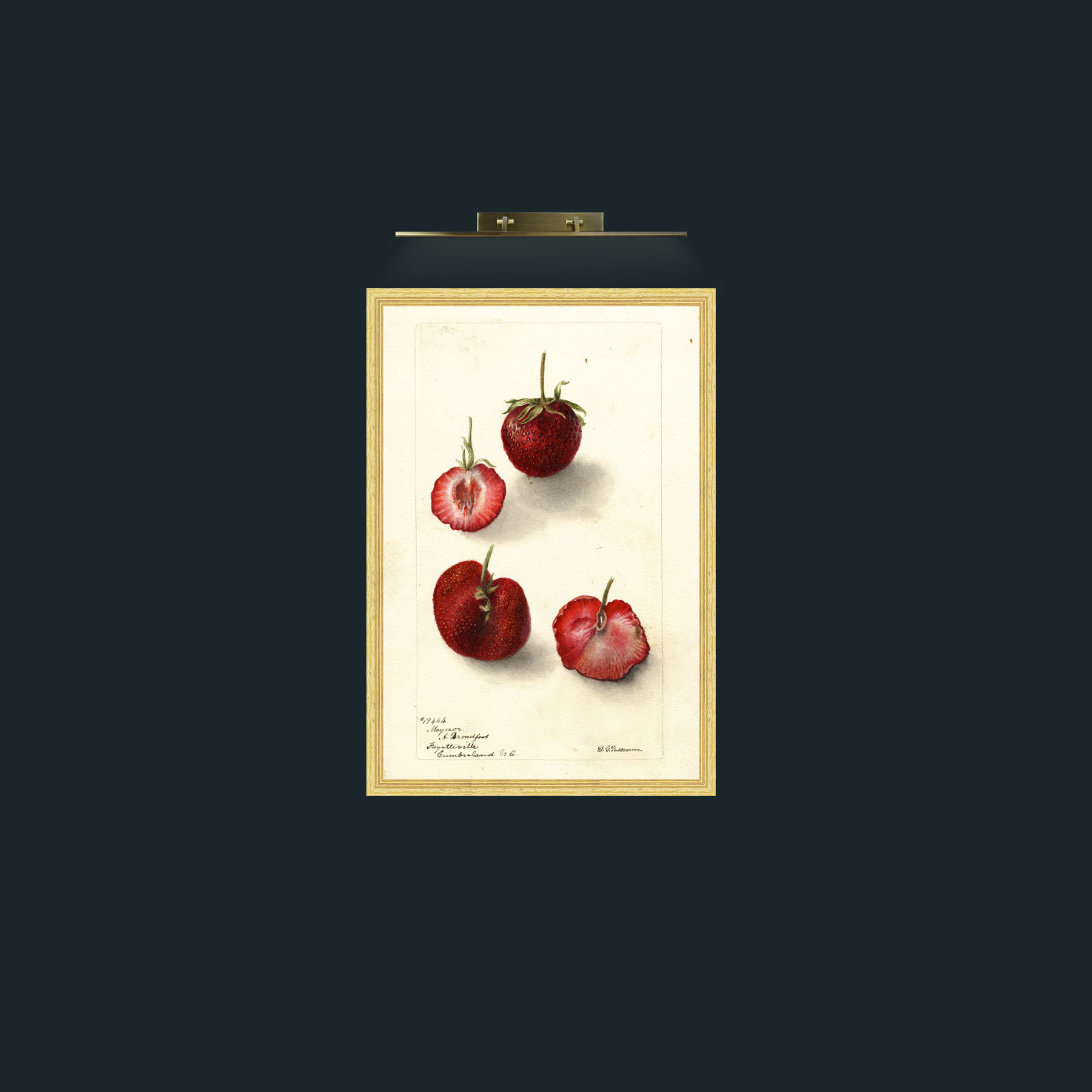 Art-Strawberries 2-Frame-4BevelledGilt.jpg