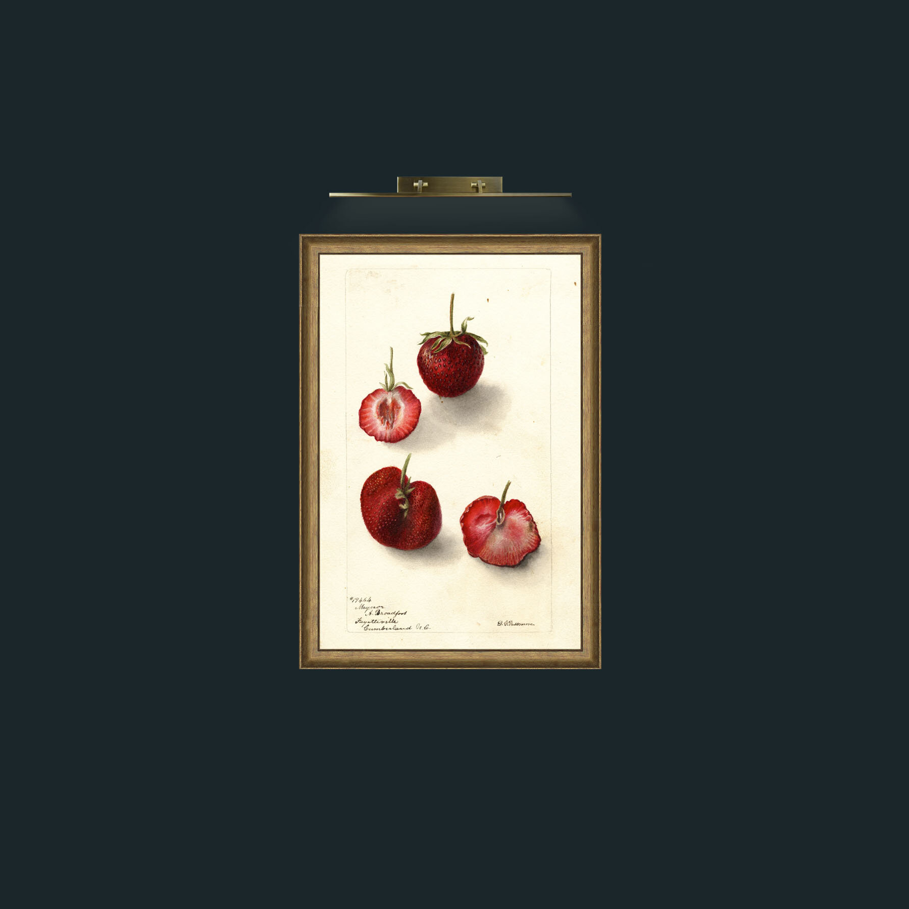 Art-Strawberries 2-Frame-8RedGreenGilt.jpg