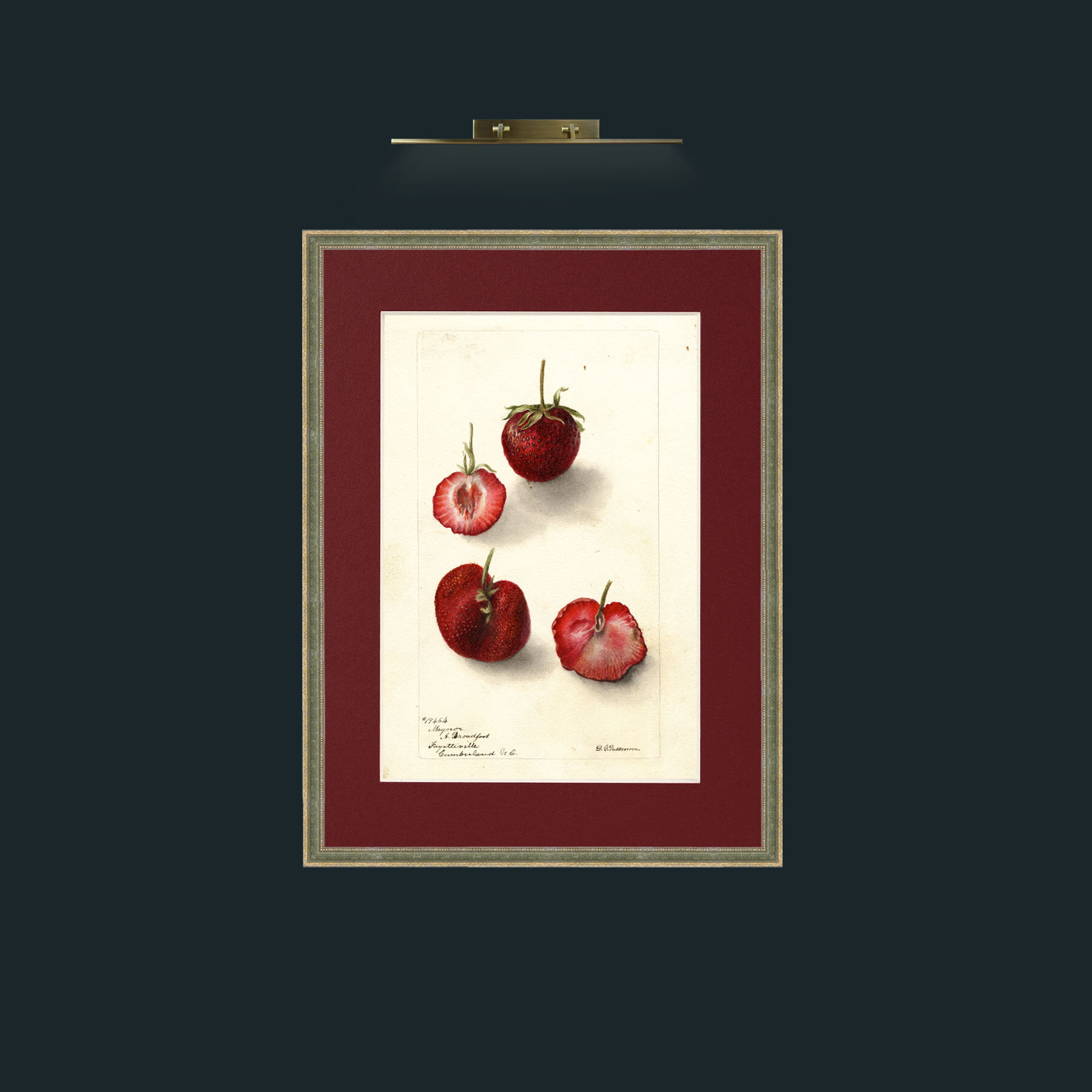Art-Strawberries 2.jpg-Frame-2GreenGiltTextured-Mount-4Red.jpg