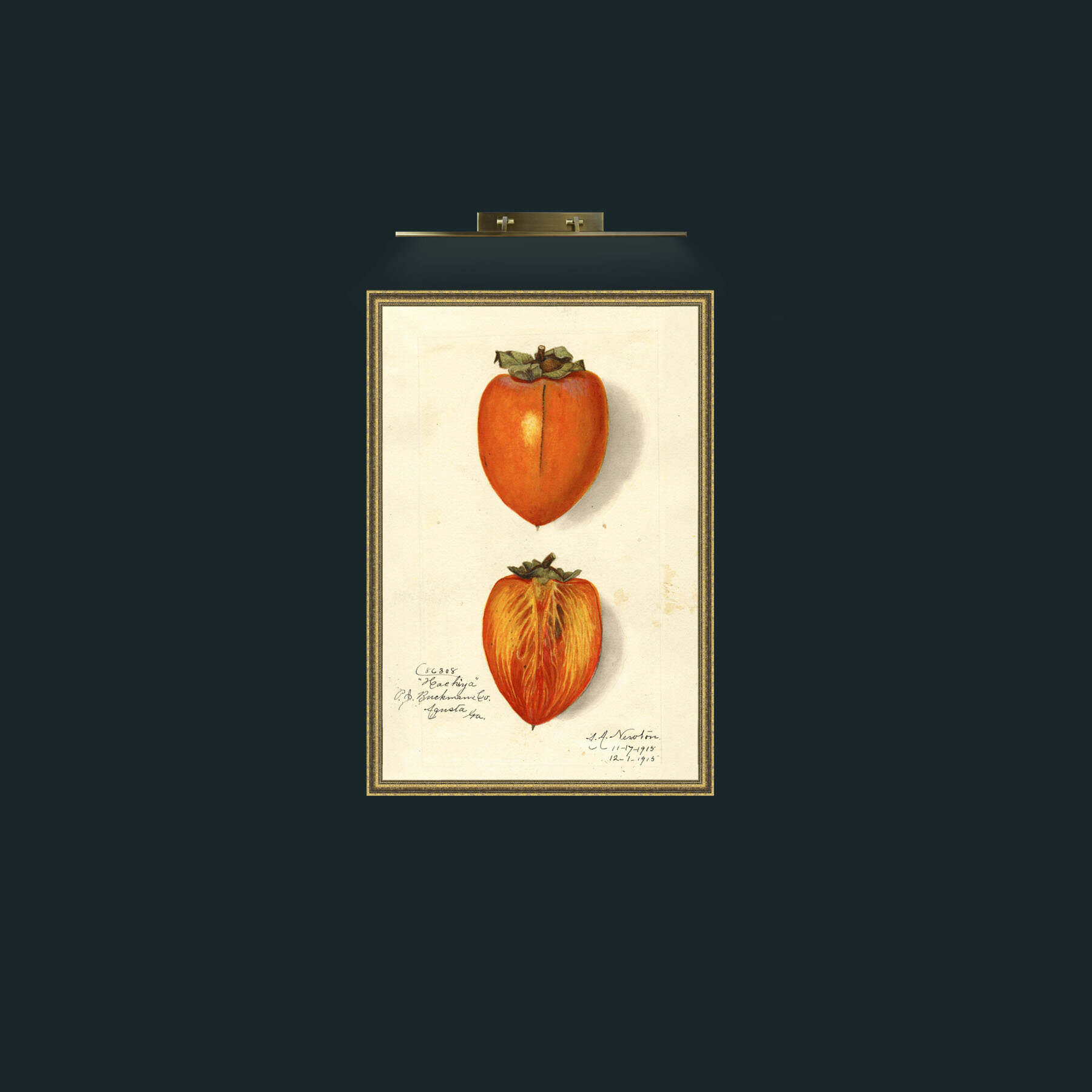 Art-Tomato-Frame-1GiltTextured.jpg
