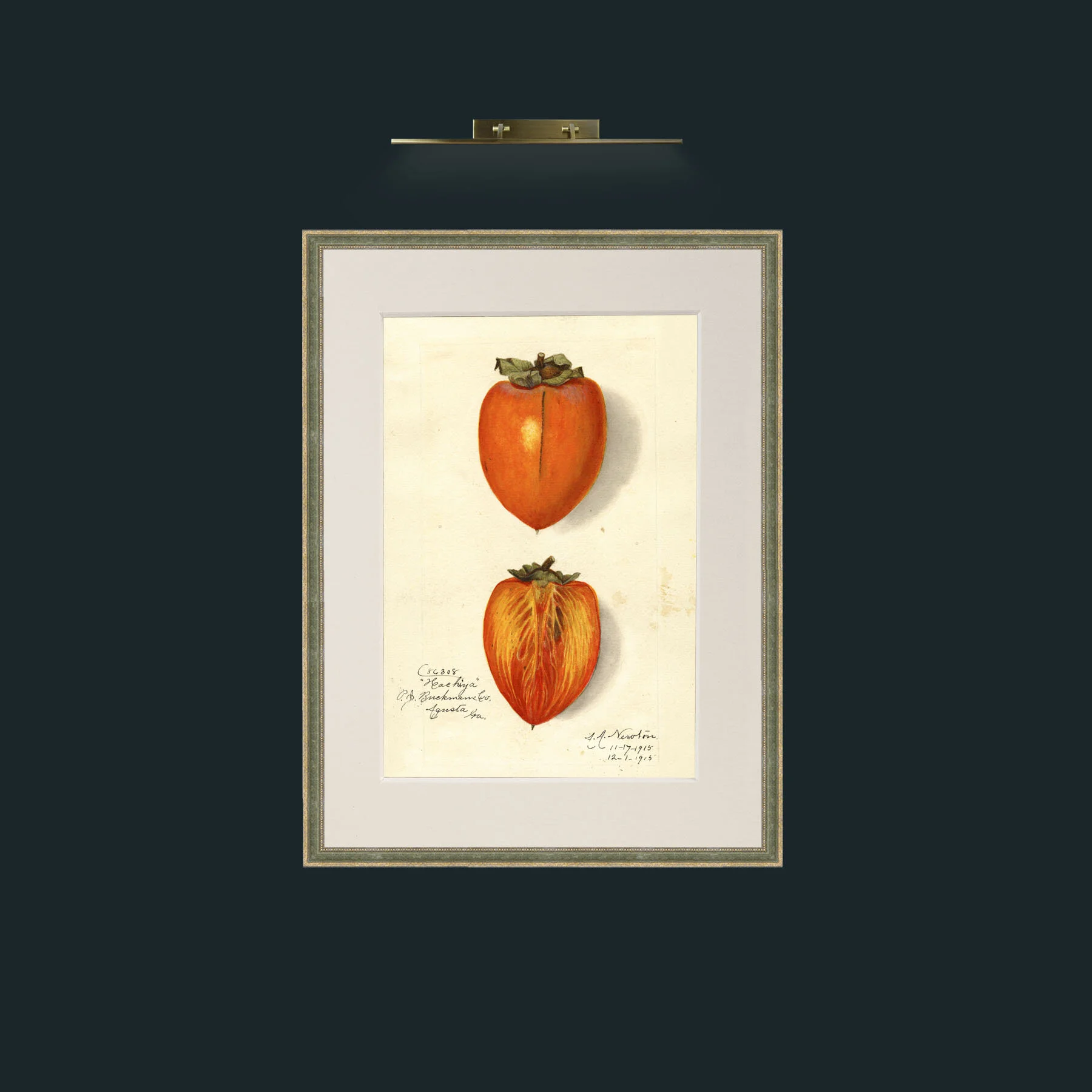 Art-Tomato.jpg-Frame-2GreenGiltTextured-Mount-1Antique.jpg