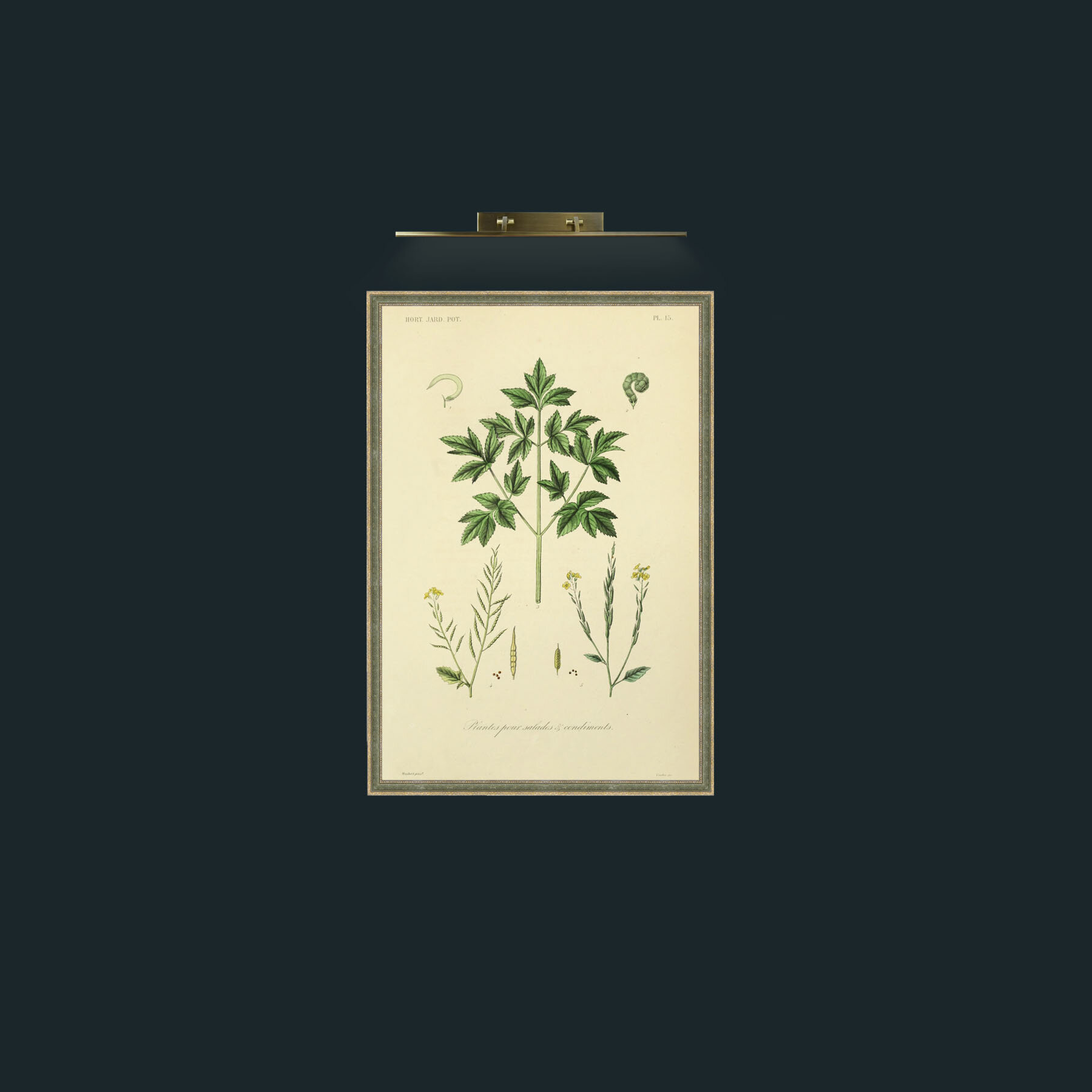 Art-Plantes pour Salades and Condiments-Frame-2GreenGiltTextured.jpg
