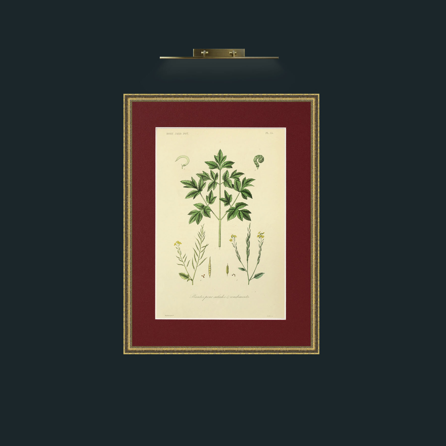 Art-Plantes pour Salades and Condiments.jpg-Frame-1TexturedGilt-Mount-4Red.jpg