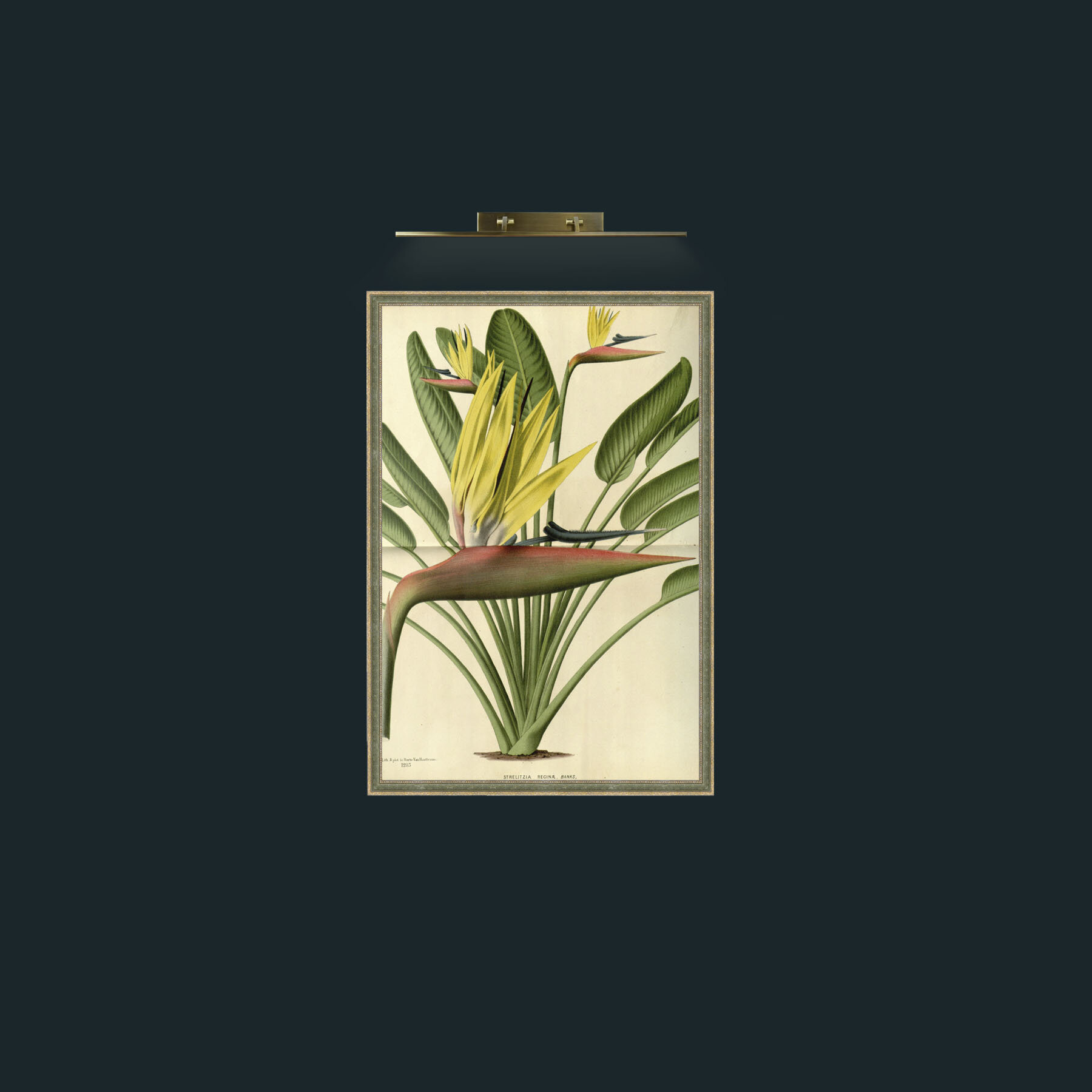 Art-Bird of Paradise Flower-Frame-2GreenGiltTextured.jpg