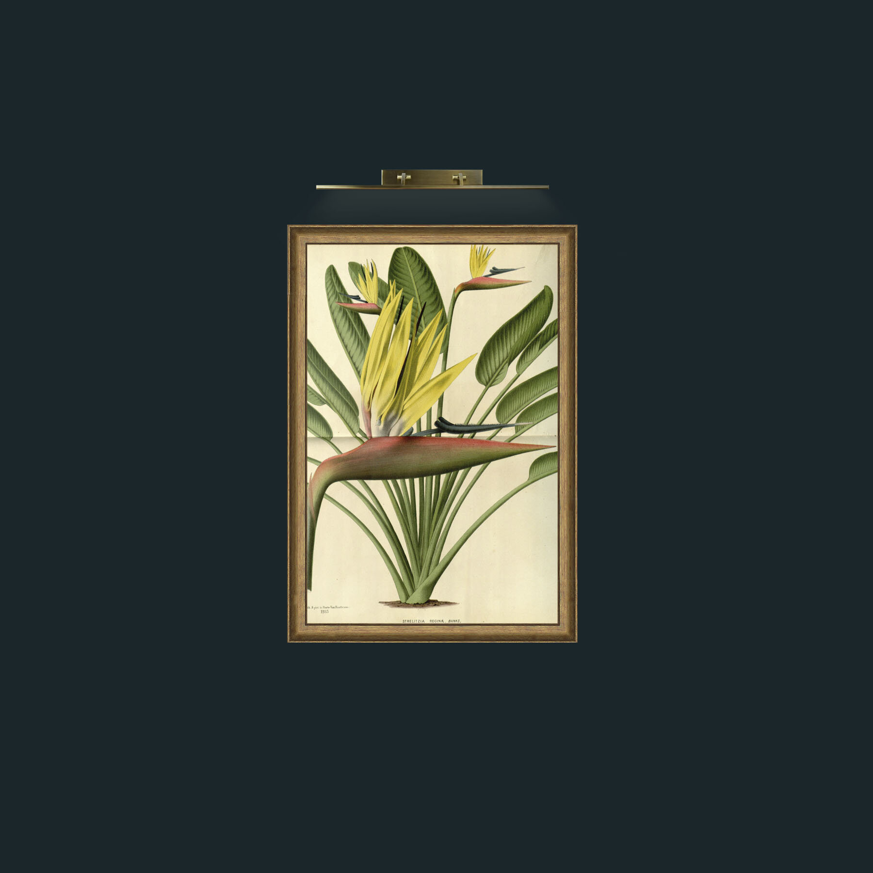 Art-Bird of Paradise Flower-Frame-8RedGreenGilt.jpg