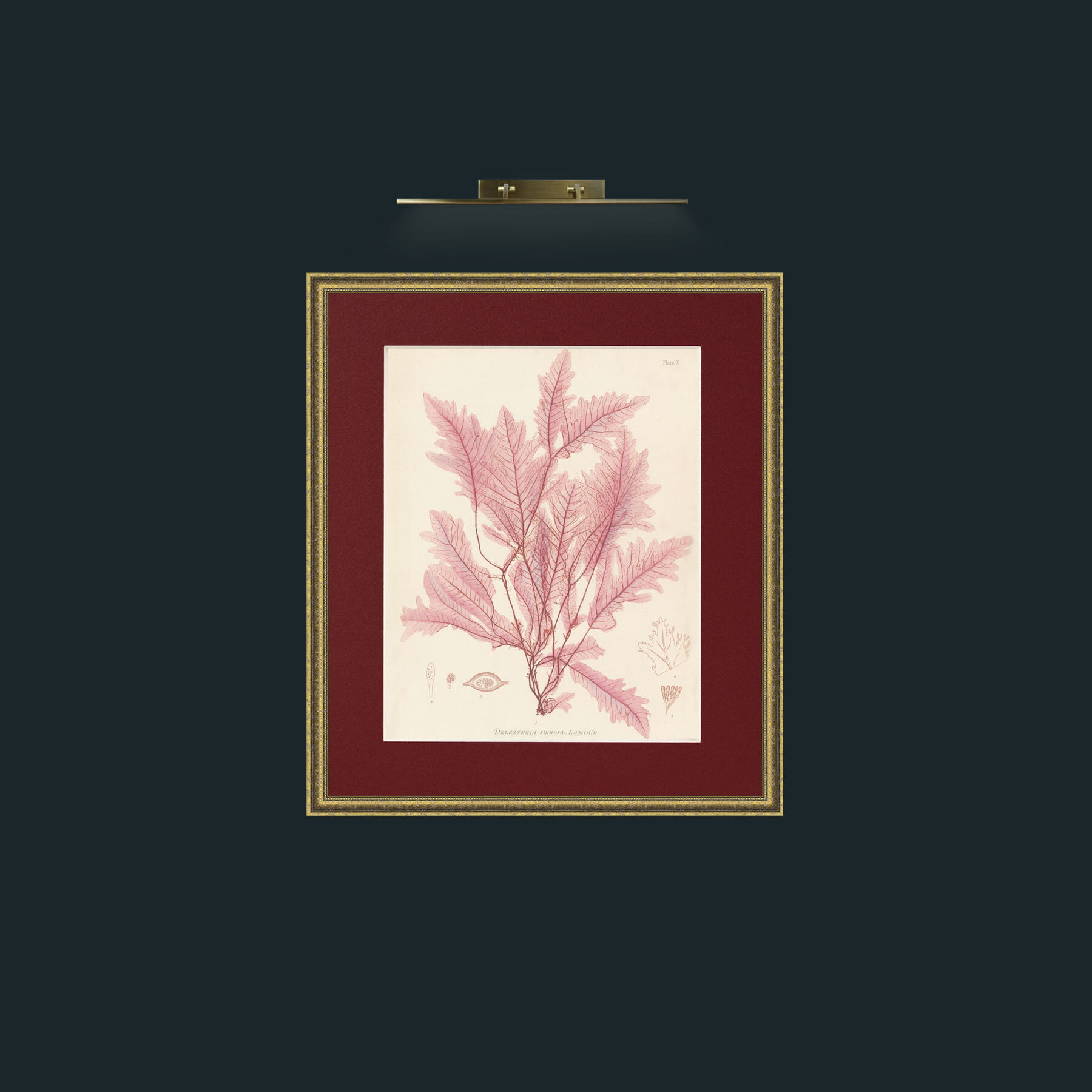 Frame-1GiltTextured-Mount-4Red-Art-Layer 1.jpg