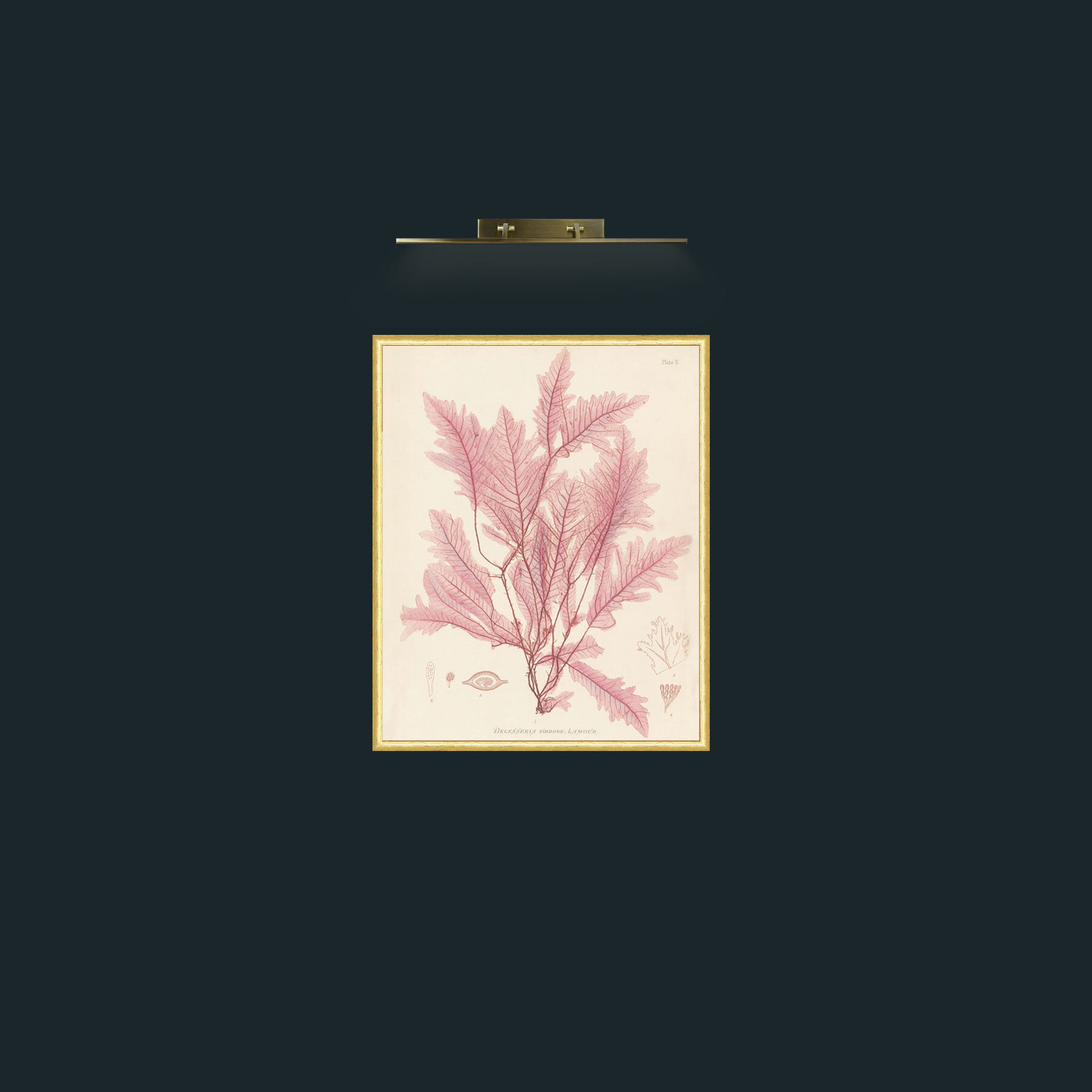 Frame-3RoundedGilt-Art-Layer 1.jpg