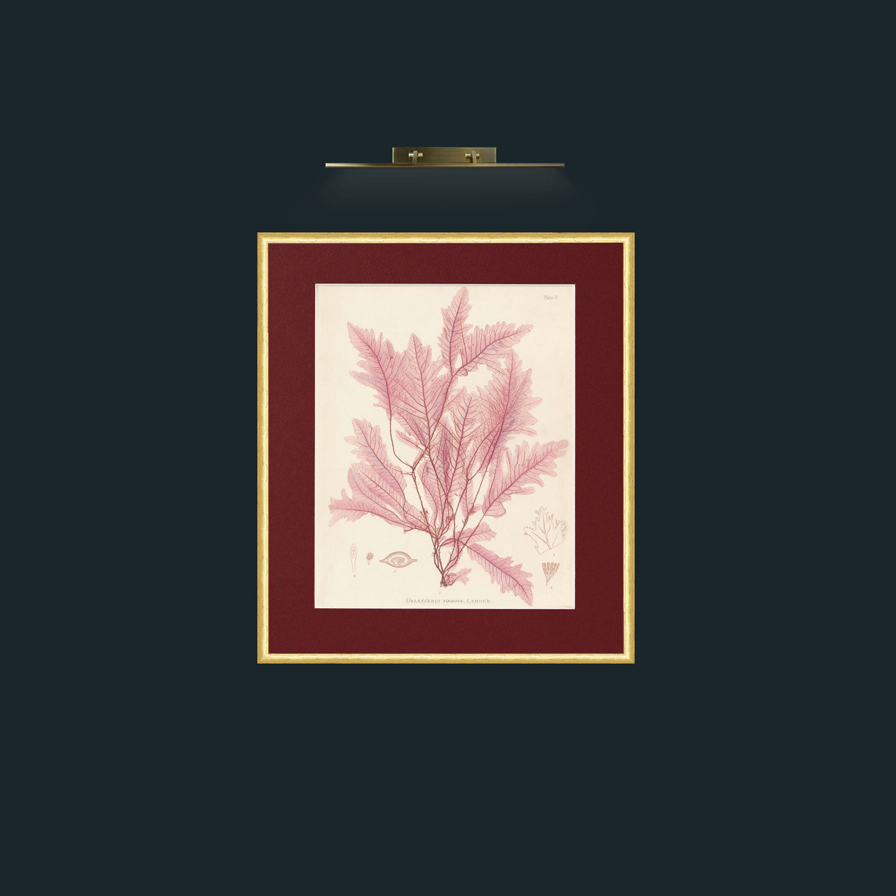 Frame-3RoundedGilt-Mount-4Red-Art-Layer 1.jpg