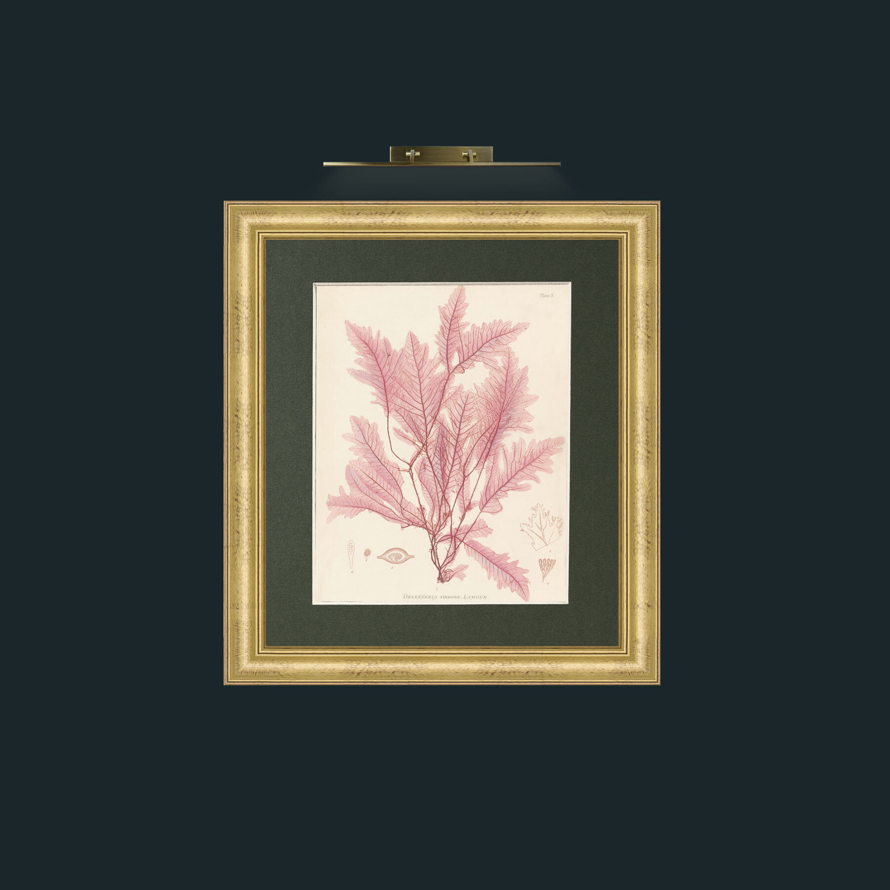 Frame-9WideGilt-Mount-2Green-Art-Layer 1.jpg