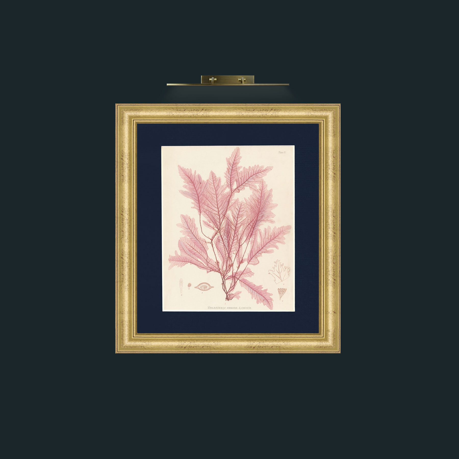 Frame-9WideGilt-Mount-3Blue-Art-Layer 1.jpg