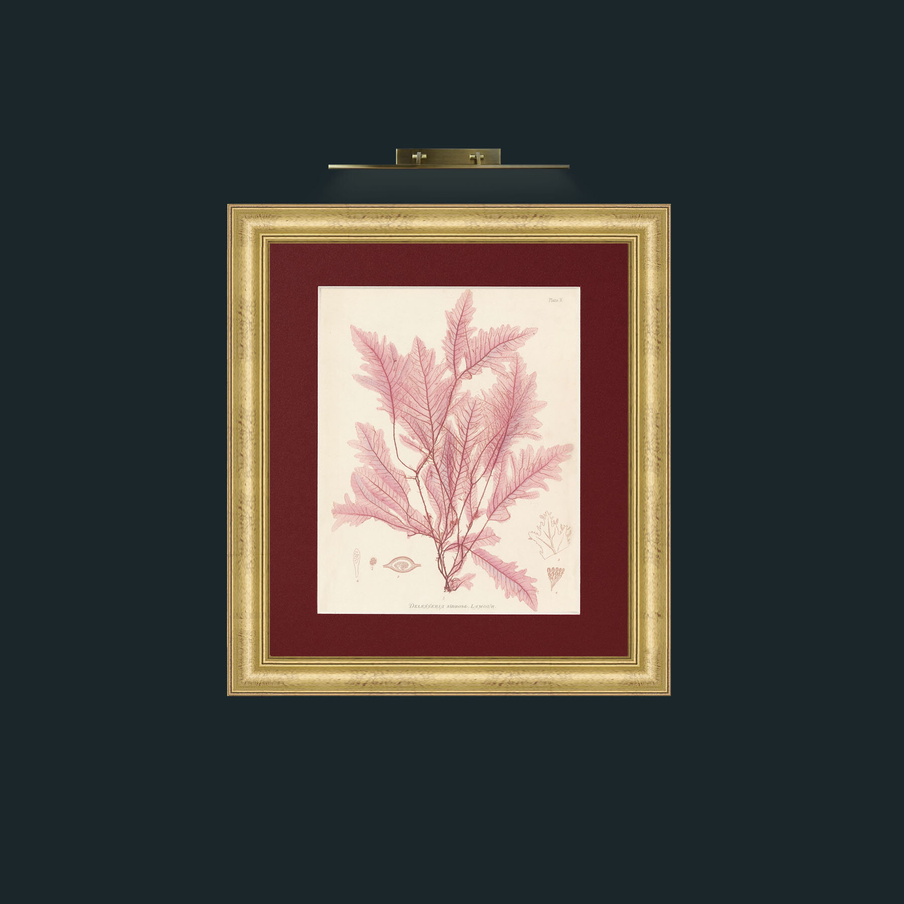 Frame-9WideGilt-Mount-4Red-Art-Layer 1.jpg