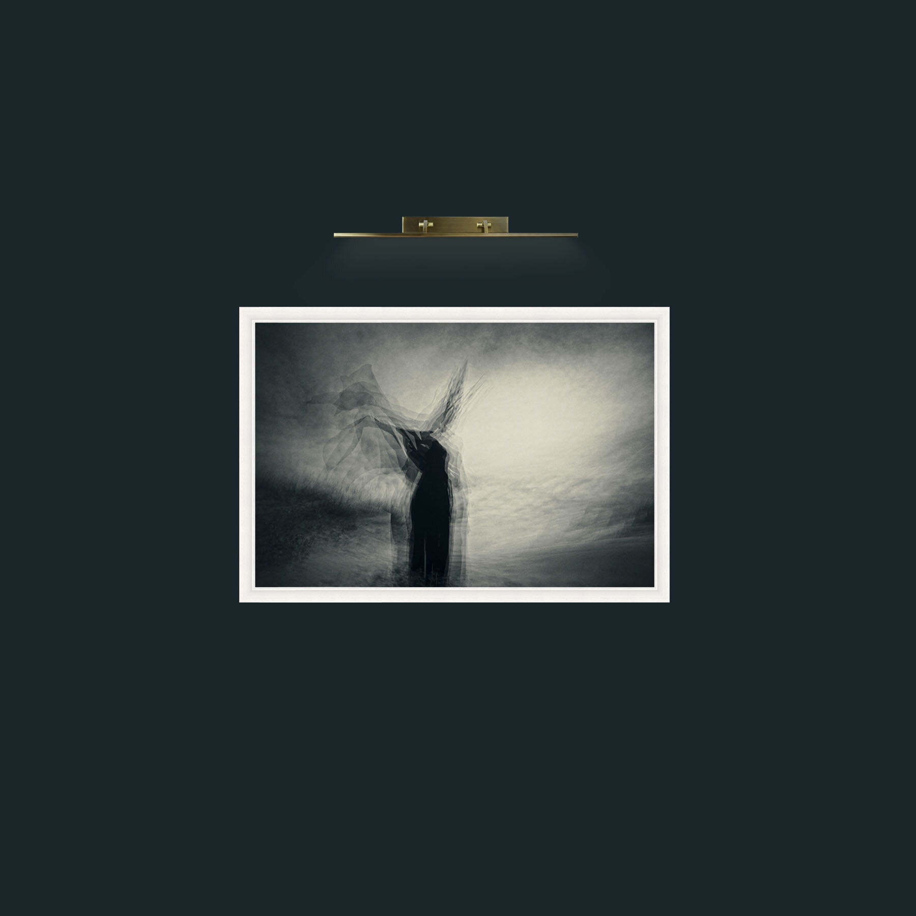 Art-Der Vettel-Frame-5White.jpg