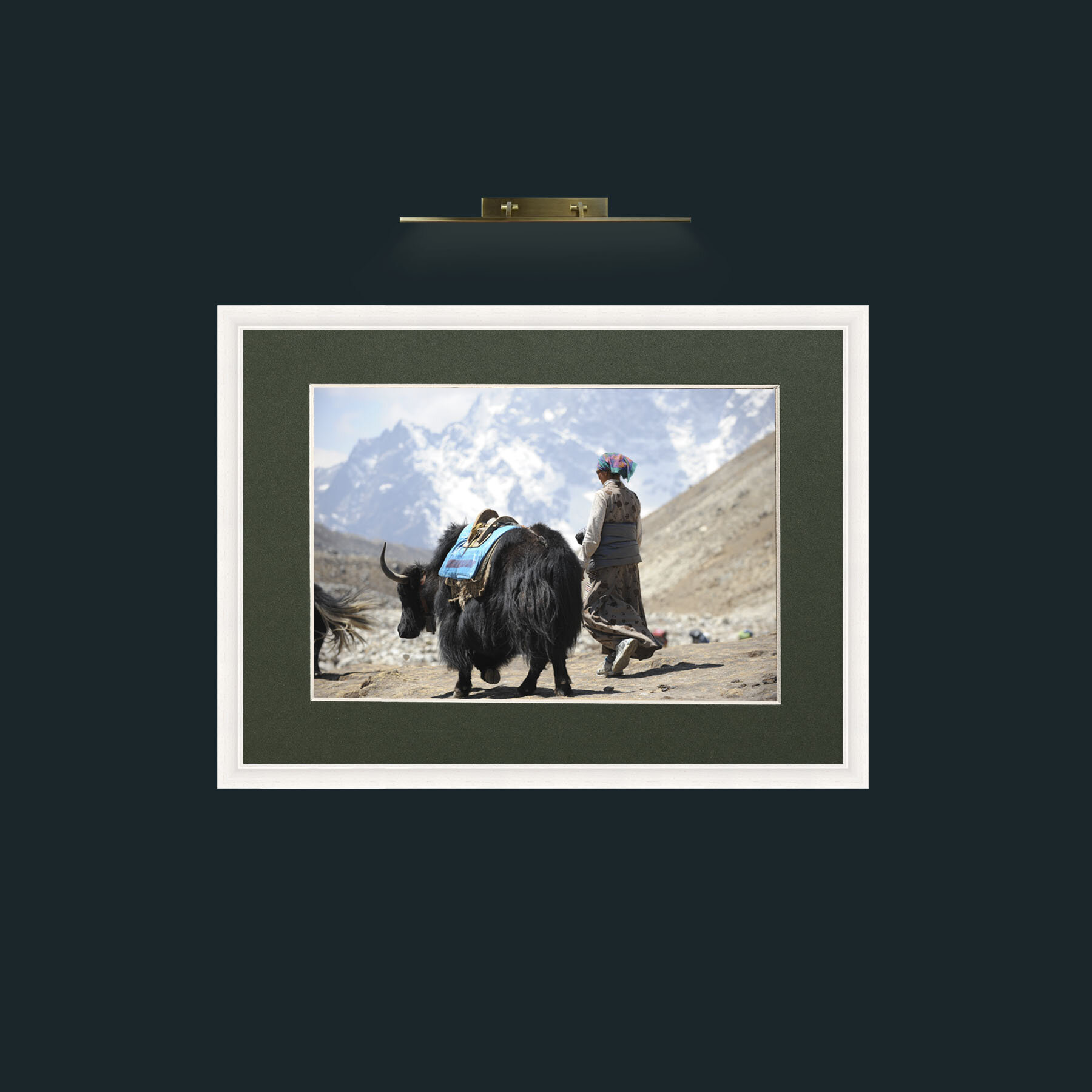 Art-Lady and the Yak-Frame-5White-Mount-2Green.jpg