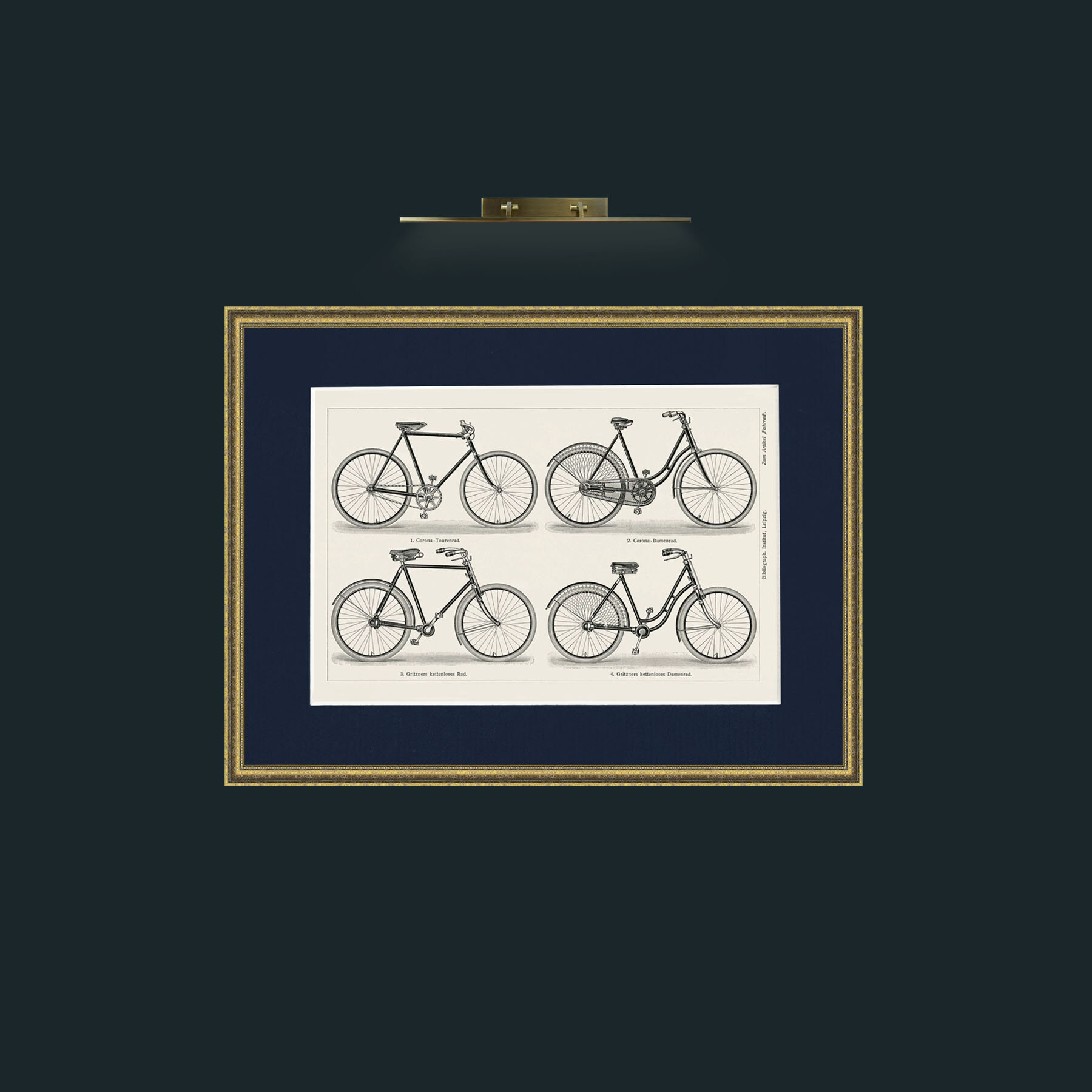 Art-Bicycles-Frame-1TexturedGilt-Mount-3Blue.jpg