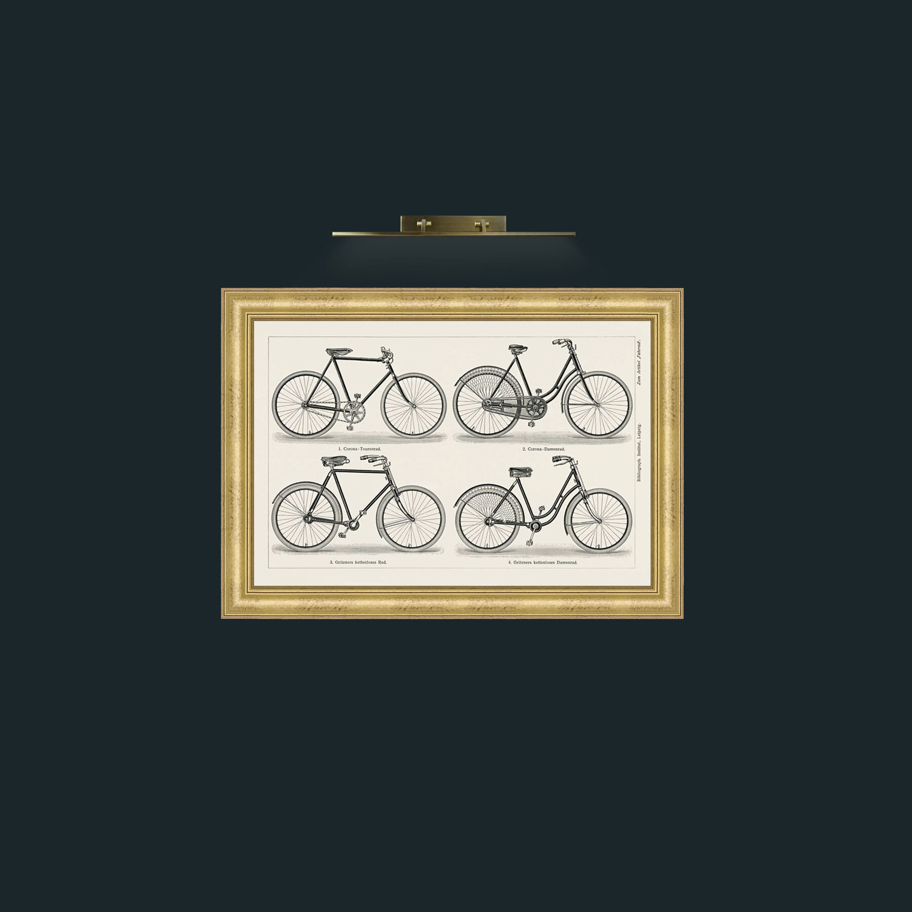 Art-Bicycles-Frame-9WideGilt.jpg