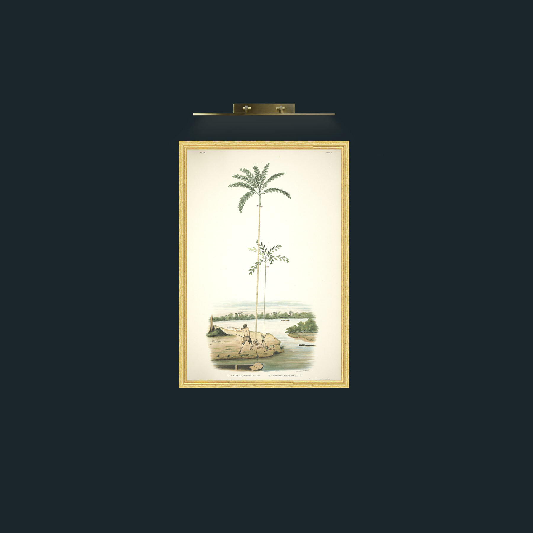 Art-Felling Palms-Frame-4BevelledGilt.jpg