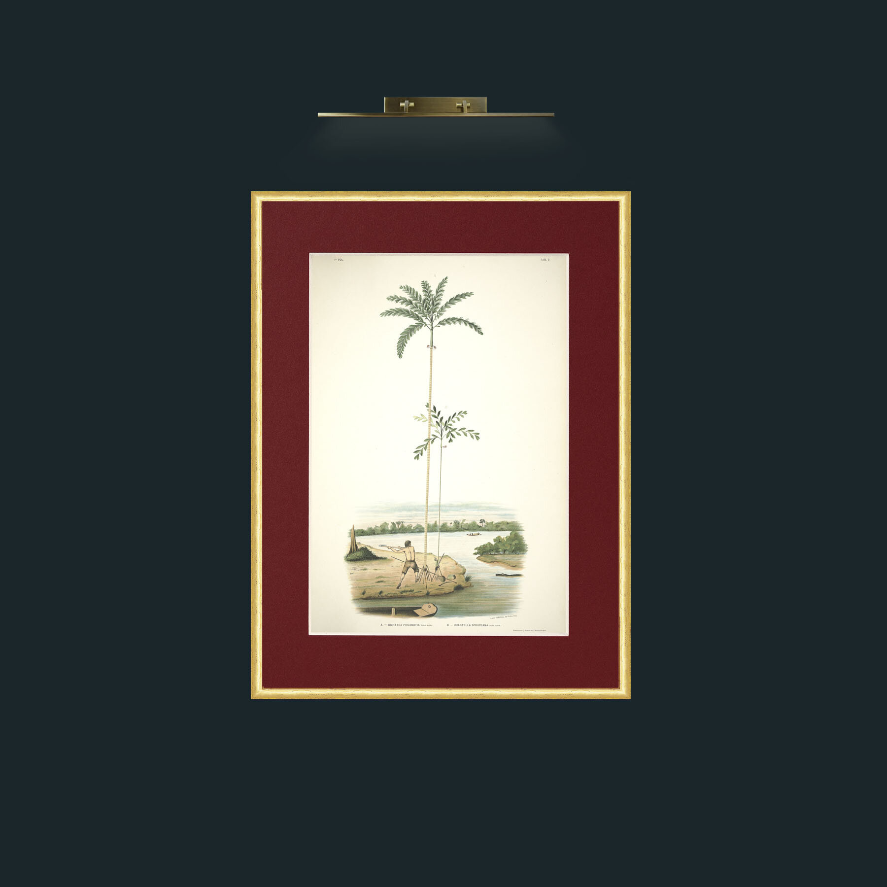 Art-Felling Palms.jpg-Frame-3RoundedGilt-Mount-4Red.jpg