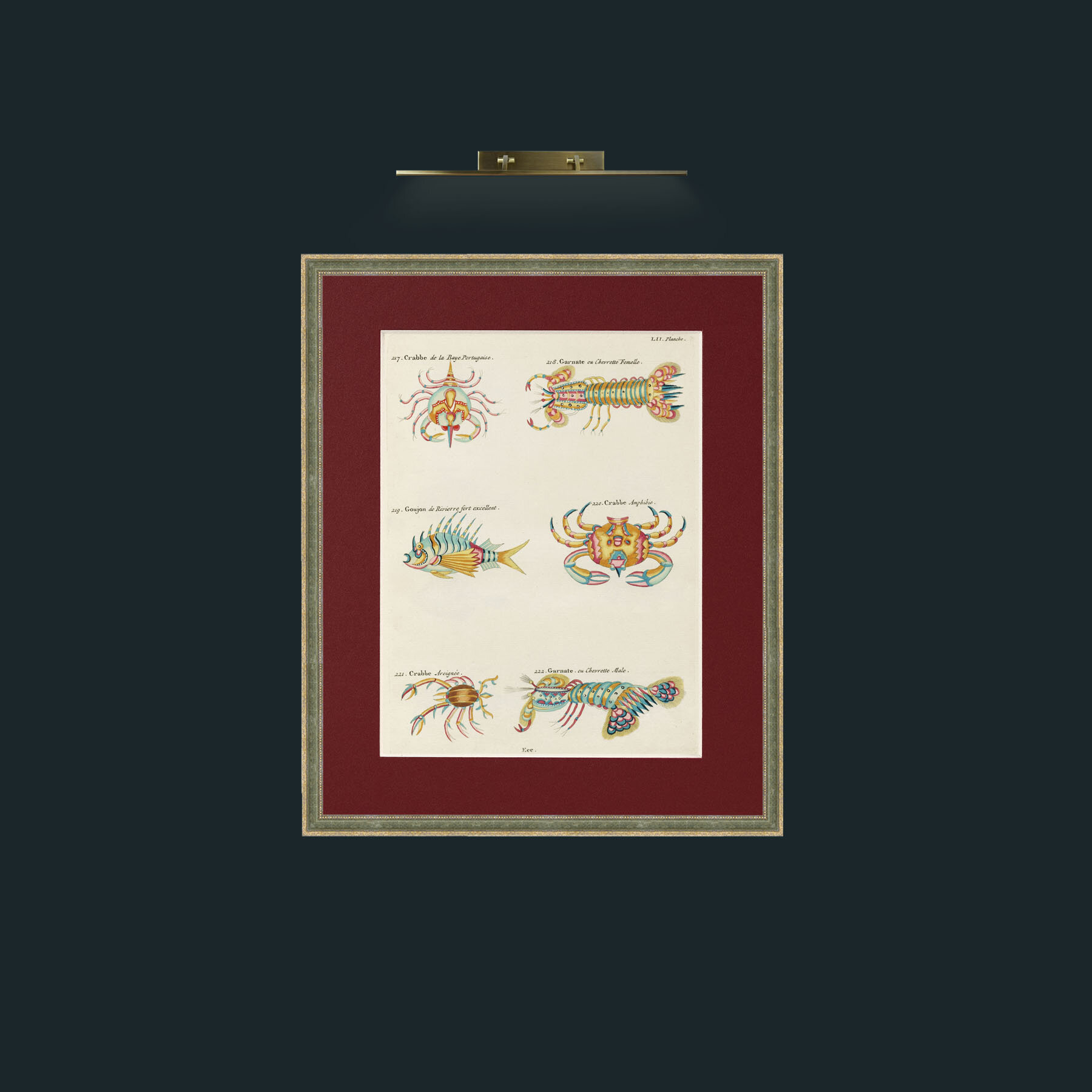 Art-Crusteations of all kinds-Frame-2GreenGilttextured-Mount-4Red.jpg