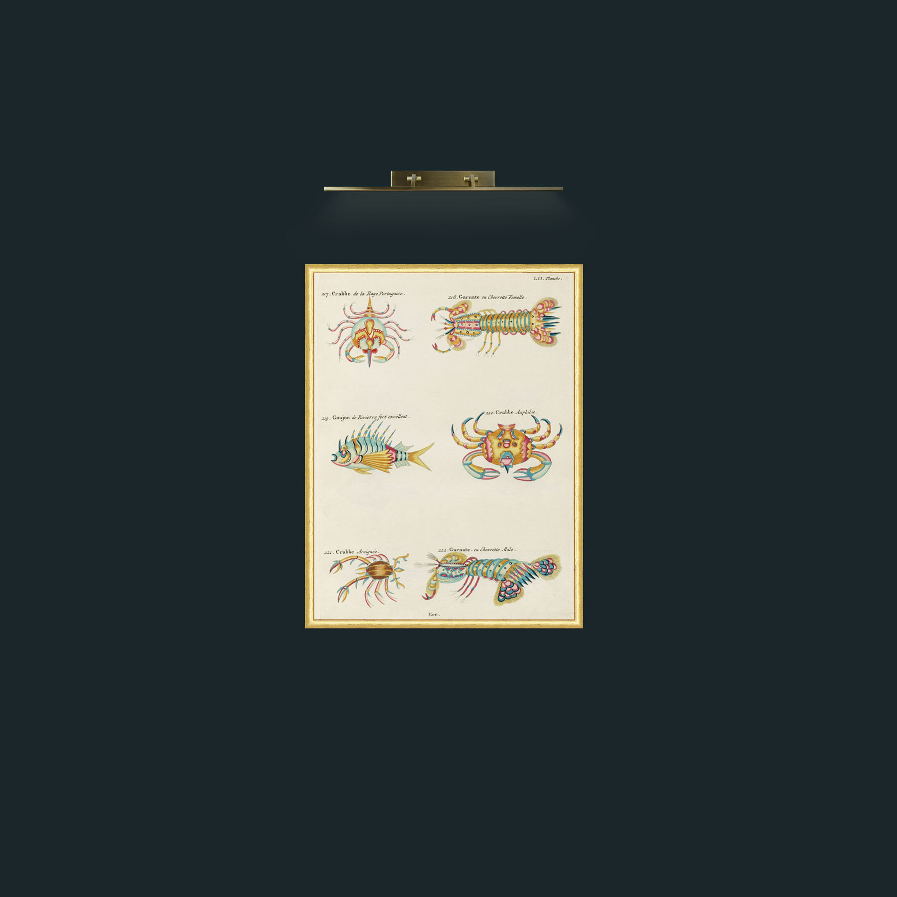 Art-Crusteations of all kinds-Frame-3RoundedGilt.jpg