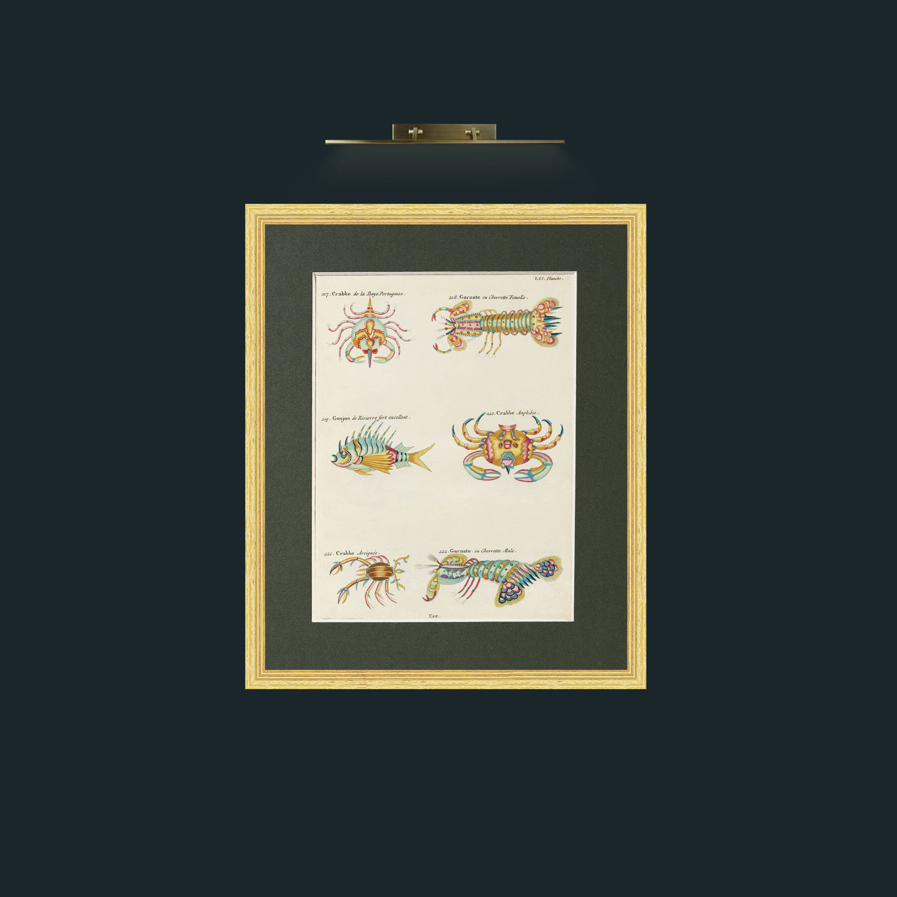 Art-Crusteations of all kinds-Frame-4BevelledGilt-Mount-2Green.jpg