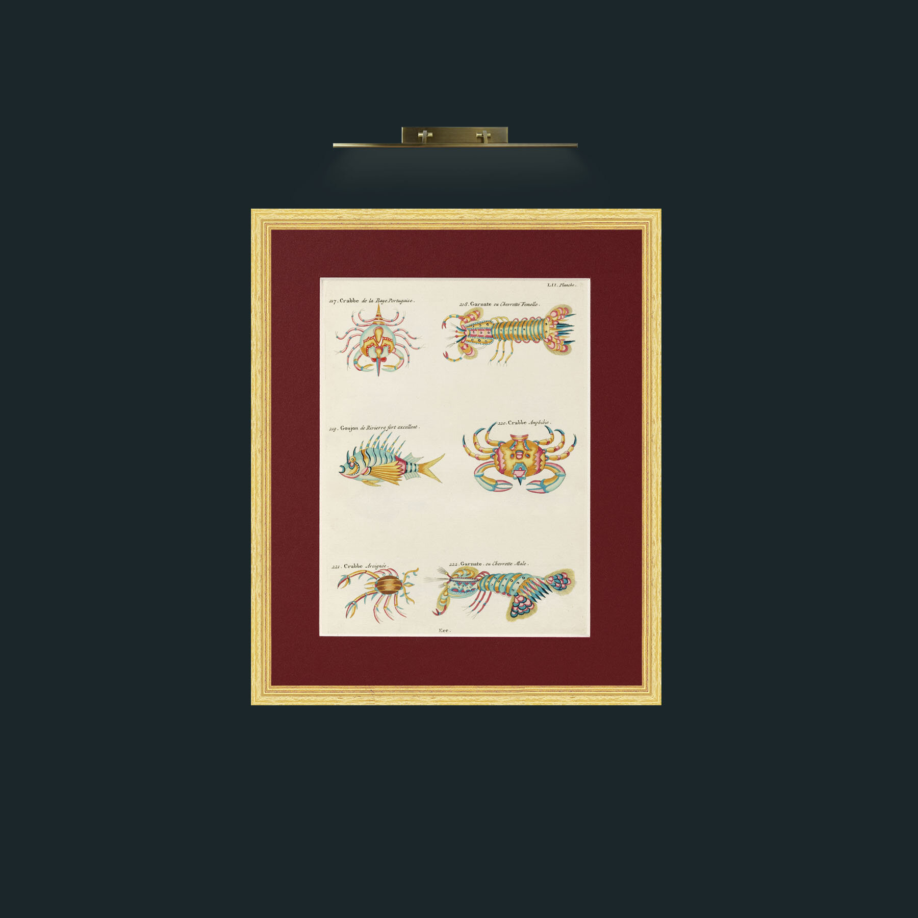 Art-Crusteations of all kinds-Frame-4BevelledGilt-Mount-4Red.jpg