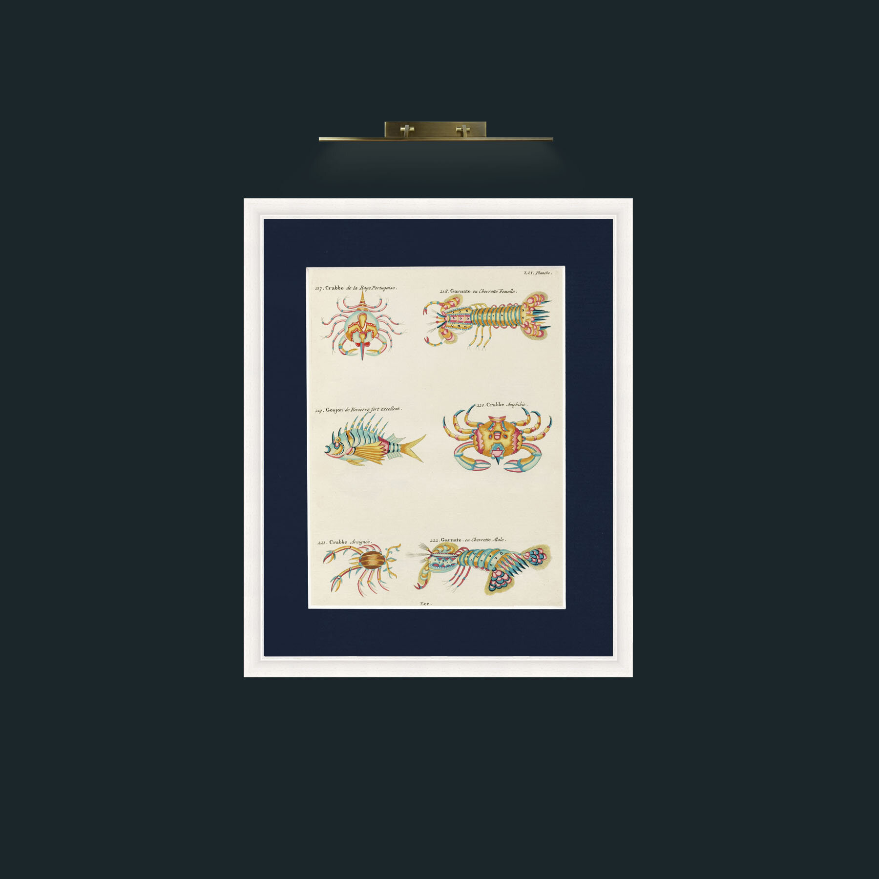 Art-Crusteations of all kinds-Frame-5White-Mount-3Blue.jpg