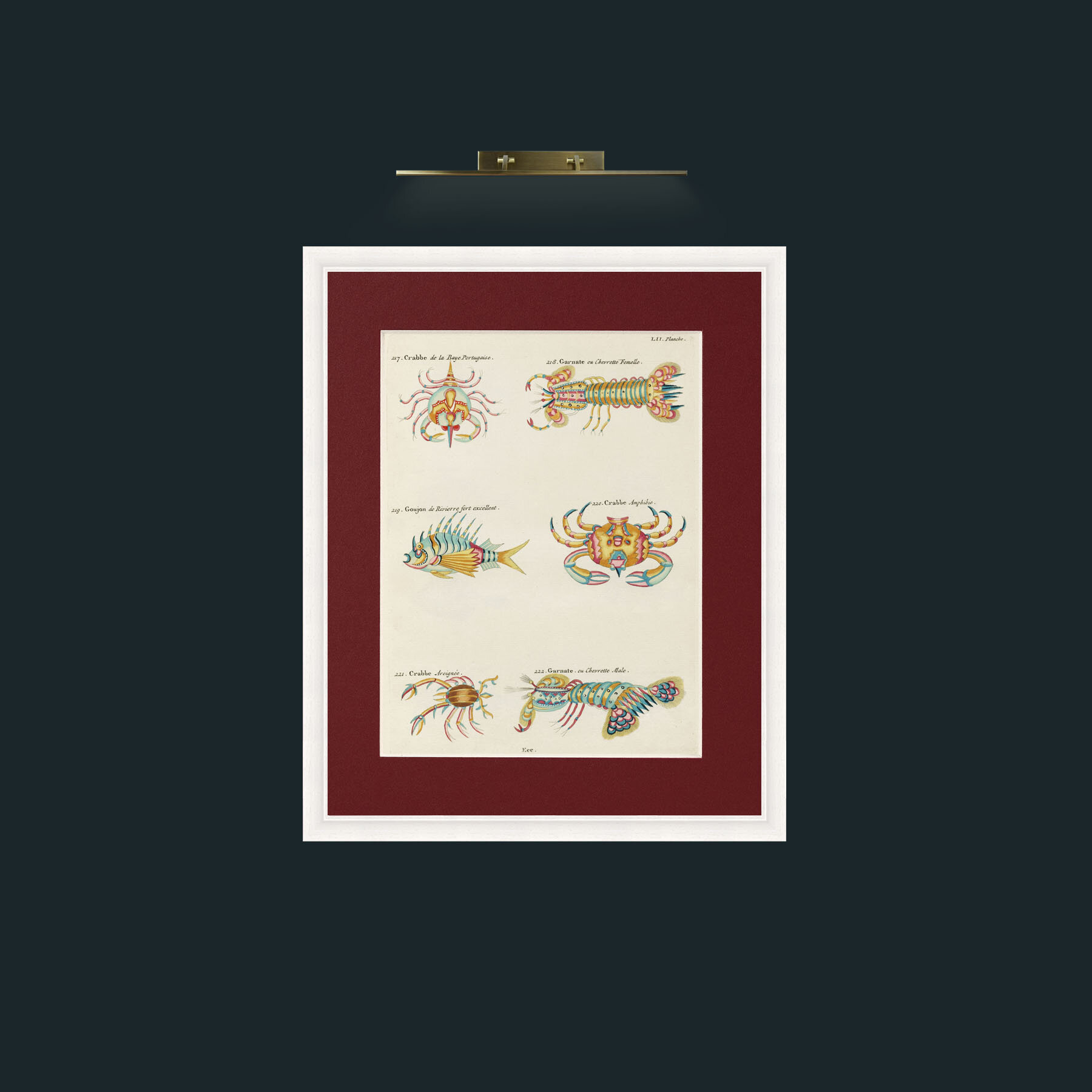 Art-Crusteations of all kinds-Frame-5White-Mount-4Red.jpg