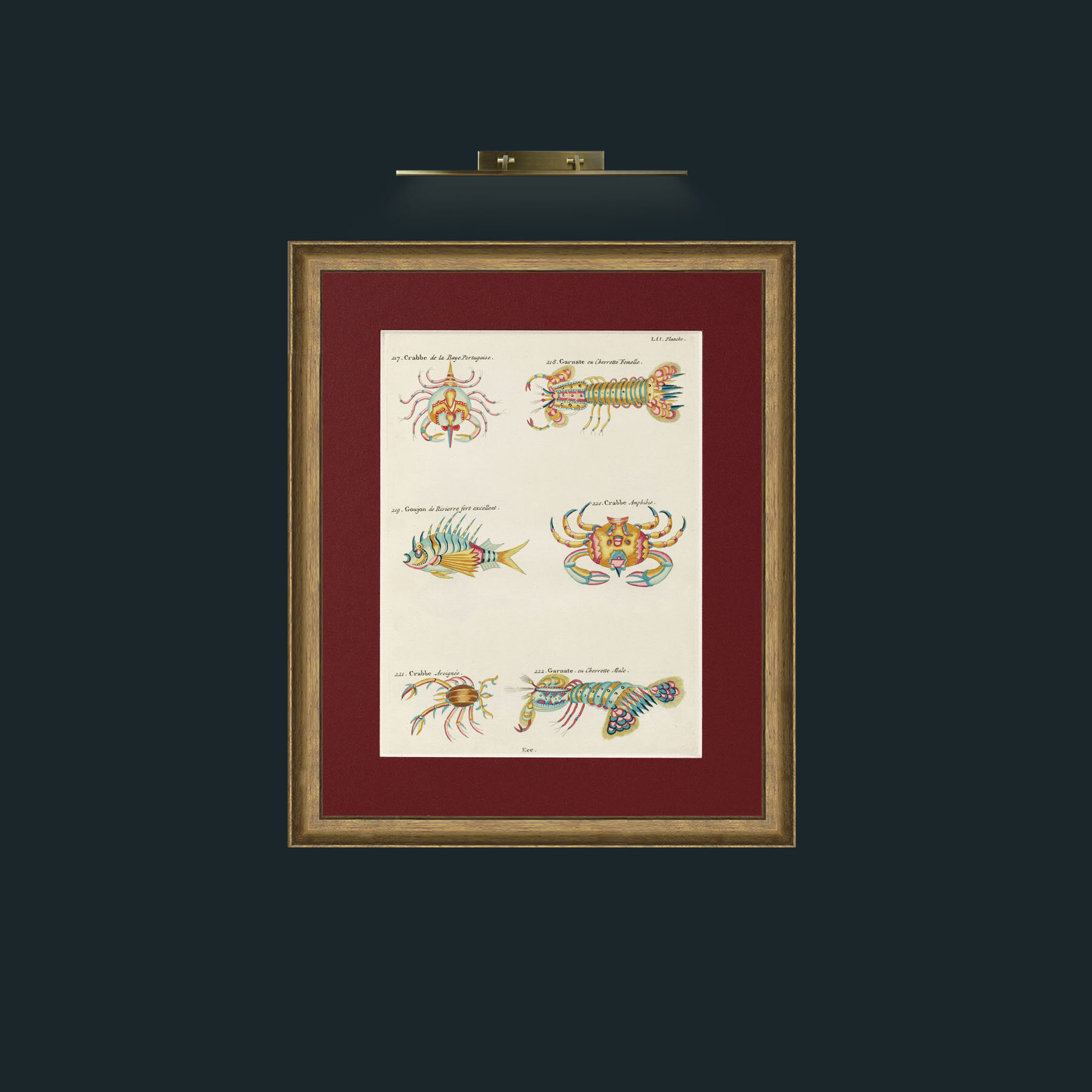 Art-Crusteations of all kinds-Frame-8RedGreenGilt-Mount-4Red.jpg