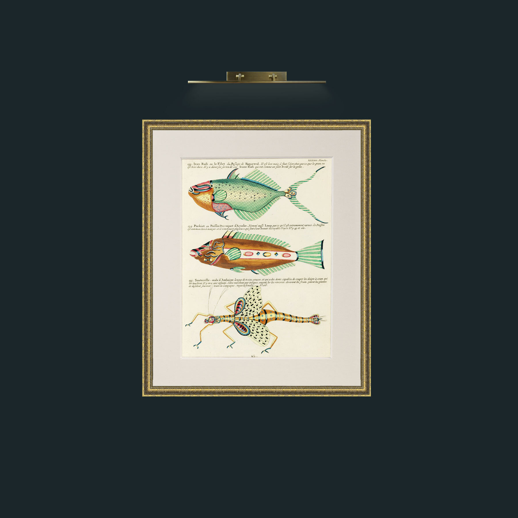 Art-Green and Brown Fish-Frame-1GiltTextured-Mount-1Antique.jpg