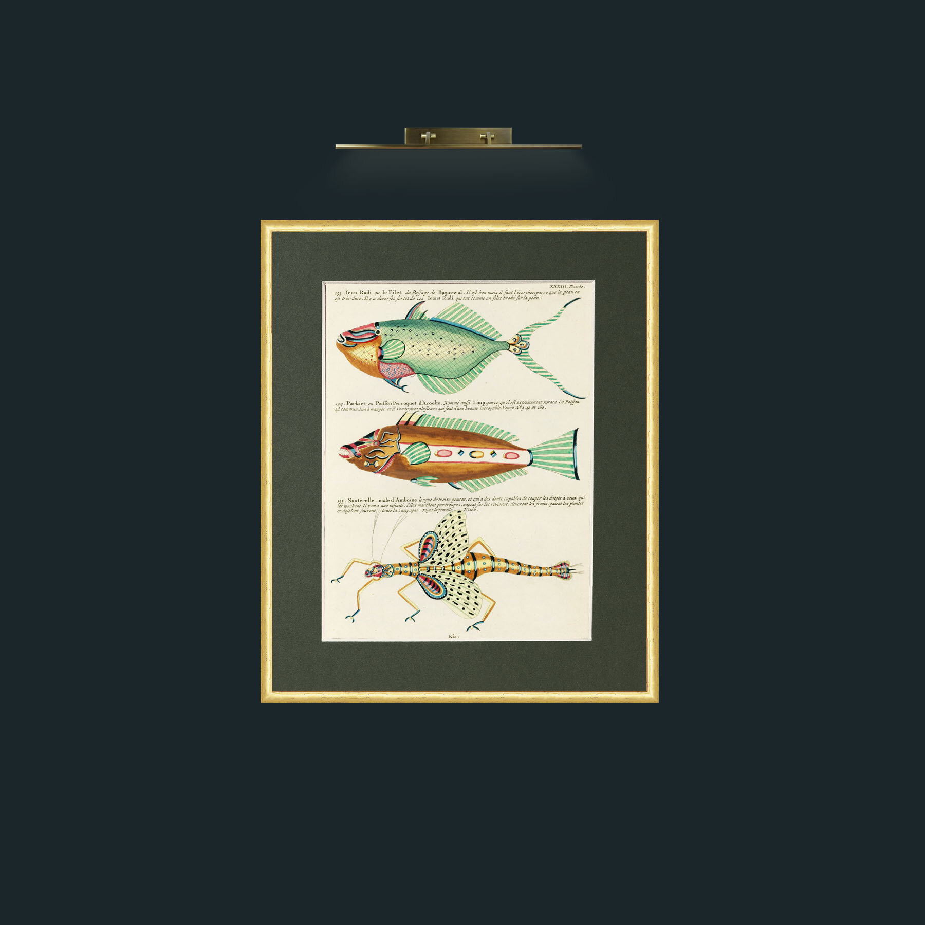 Art-Green and Brown Fish-Frame-3RoundedGilt-Mount-2Green.jpg