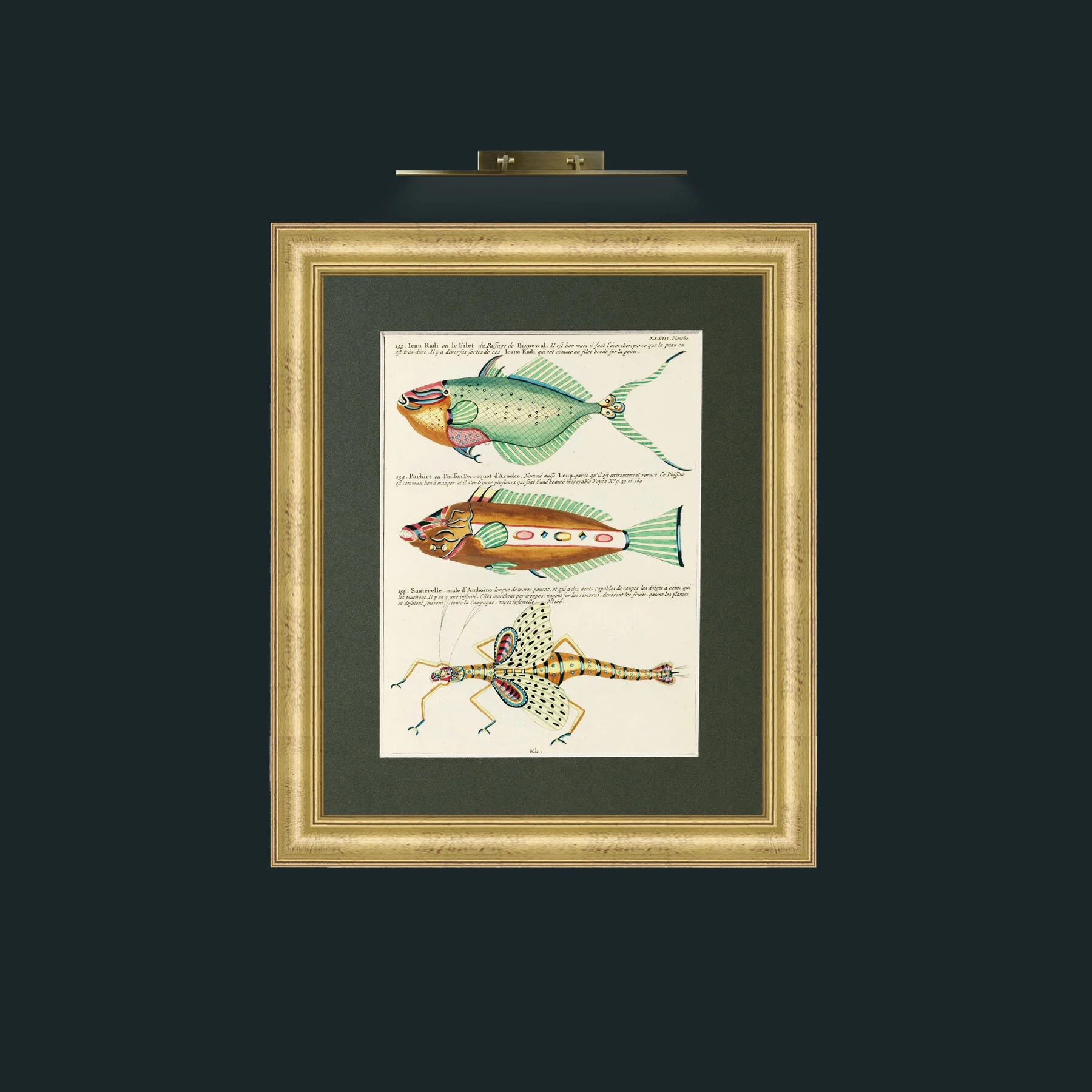 Art-Green and Brown Fish-Frame-9WideGilt-Mount-2Green.jpg