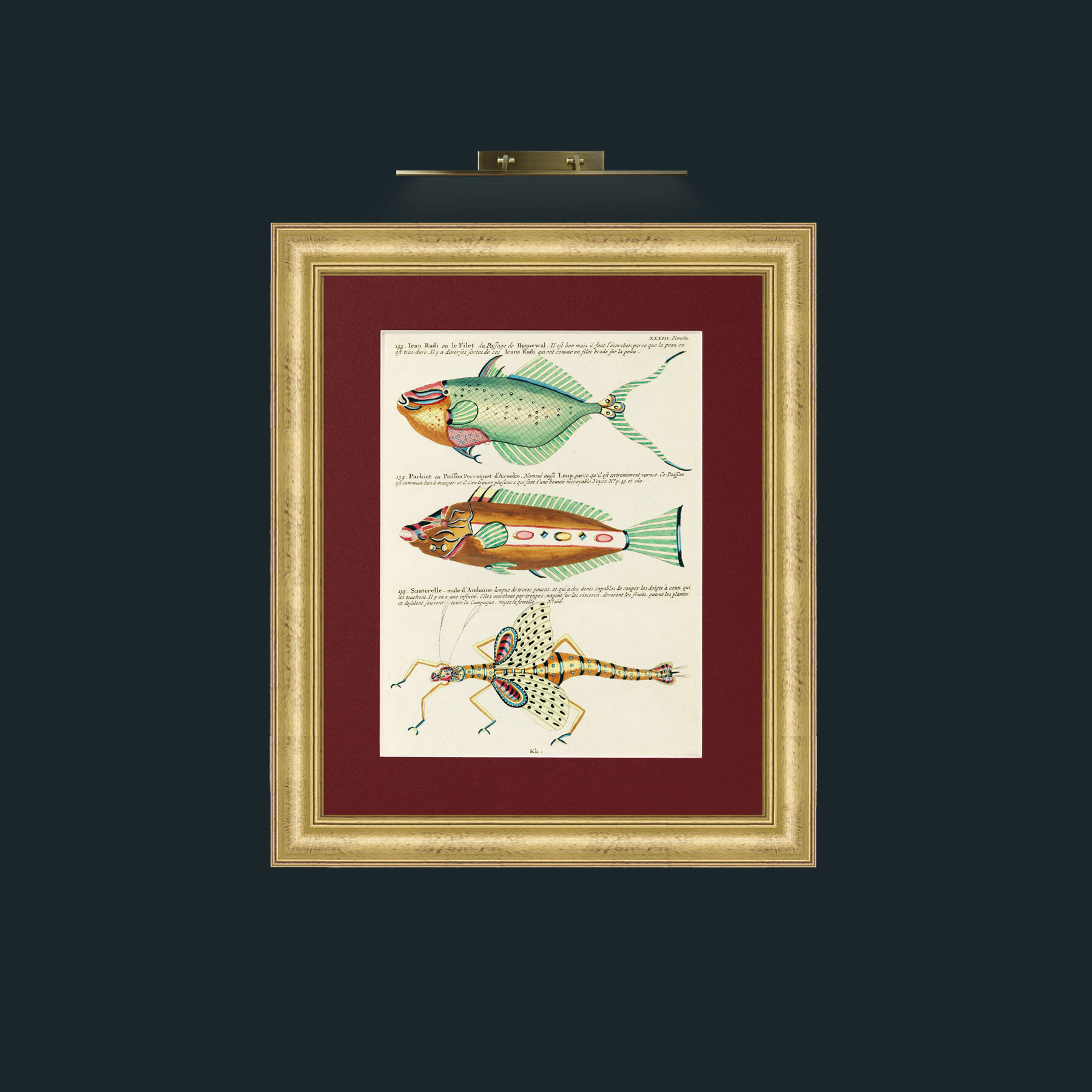 Art-Green and Brown Fish-Frame-9WideGilt-Mount-4Red.jpg