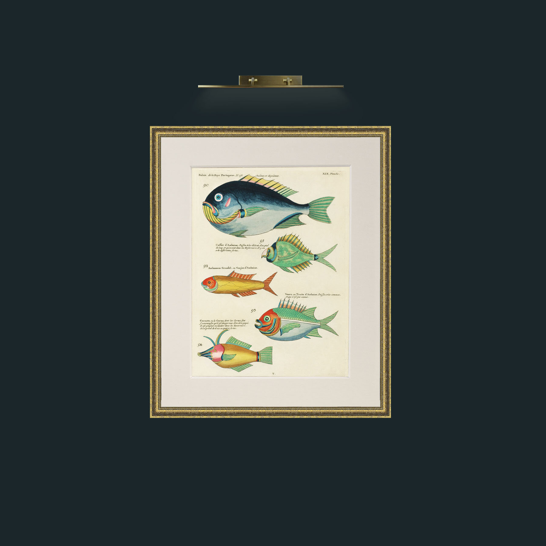 Art-Green and Orange Fish-Frame-1GiltTextured-Mount-1Antique.jpg
