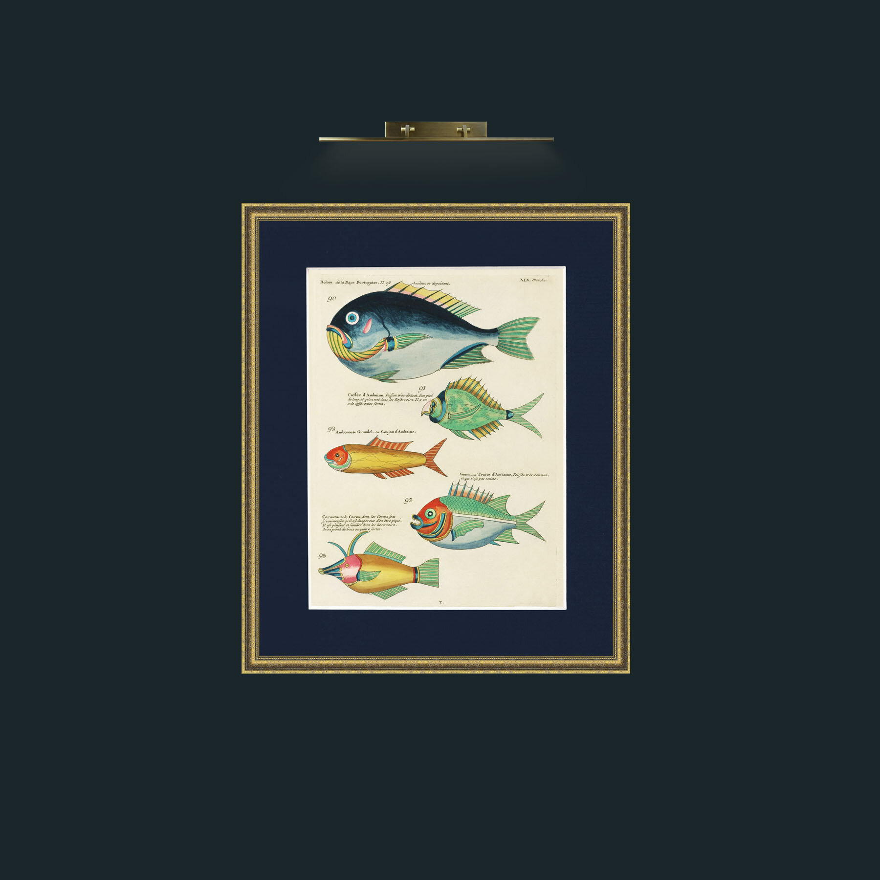 Art-Green and Orange Fish-Frame-1GiltTextured-Mount-3Blue.jpg