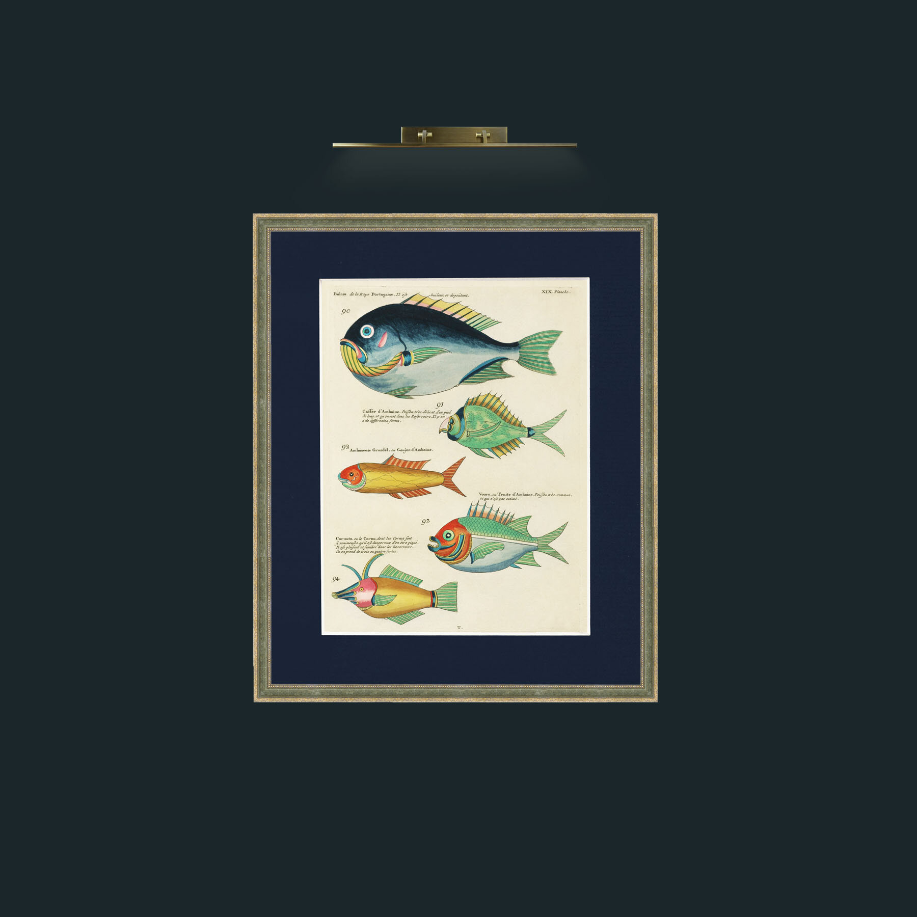 Art-Green and Orange Fish-Frame-2GreenGilttextured-Mount-3Blue.jpg