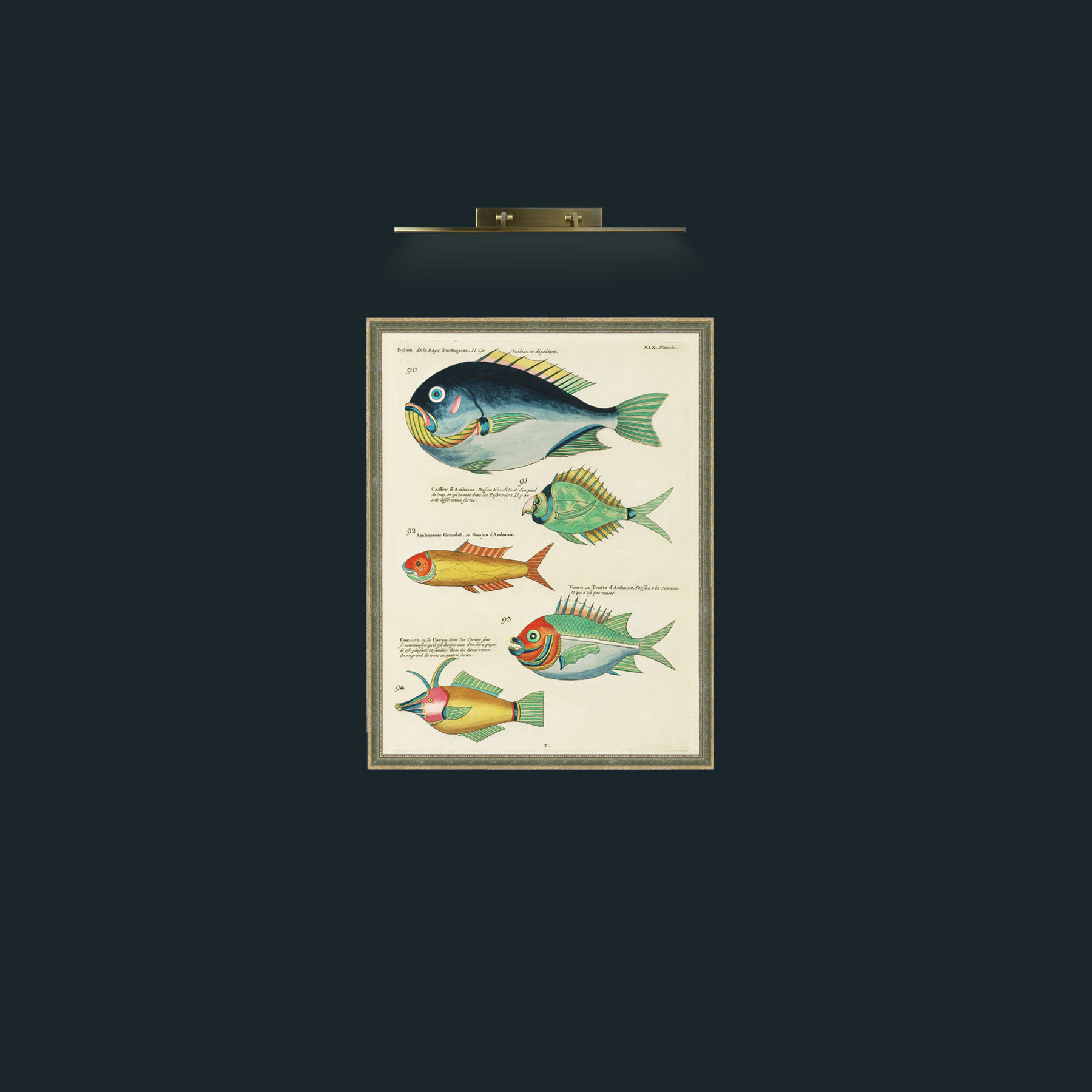 Art-Green and Orange Fish-Frame-2GreenGiltTextured.jpg