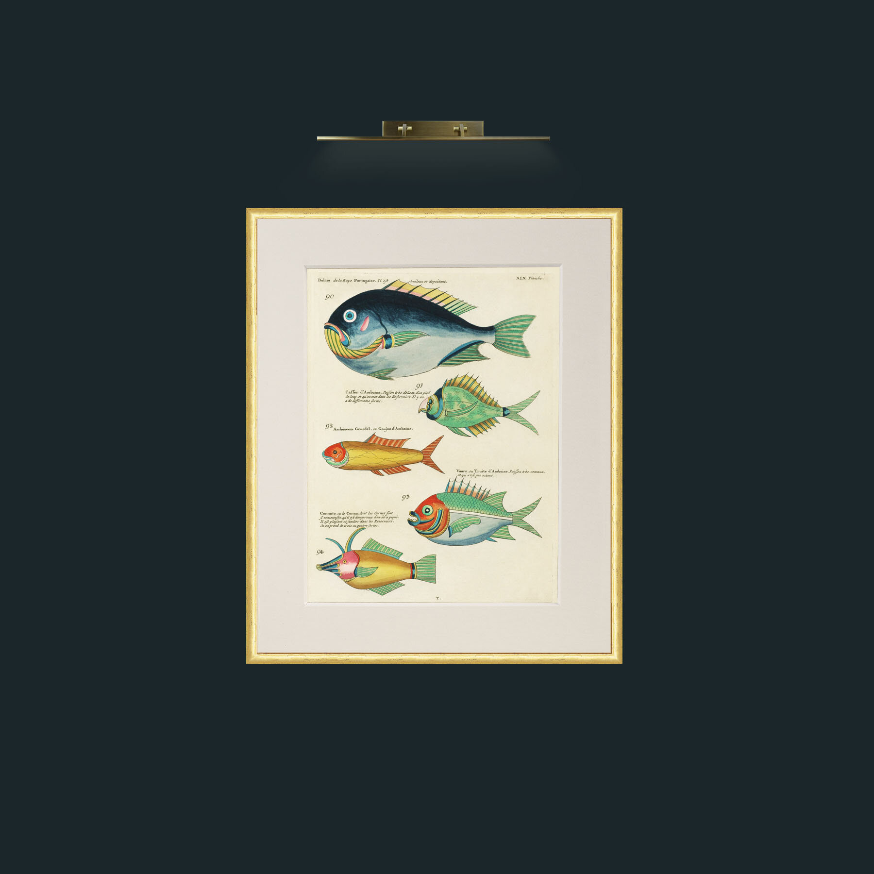 Art-Green and Orange Fish-Frame-3RoundedGilt-Mount-1Antique.jpg