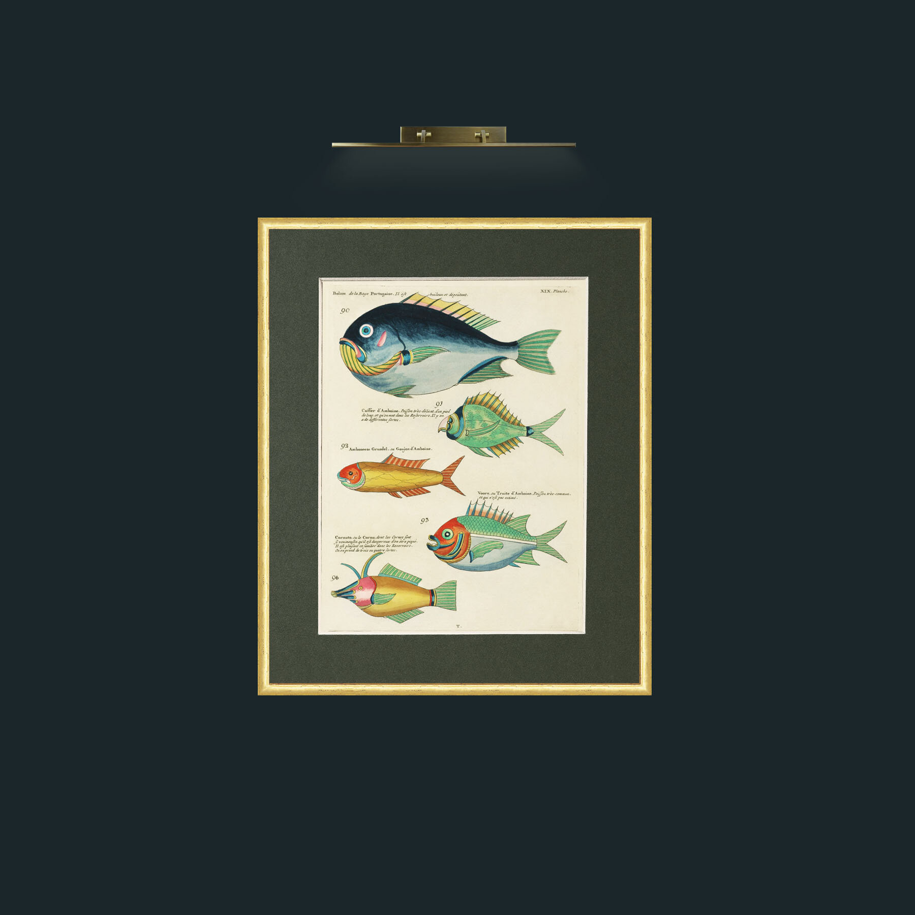 Art-Green and Orange Fish-Frame-3RoundedGilt-Mount-2Green.jpg