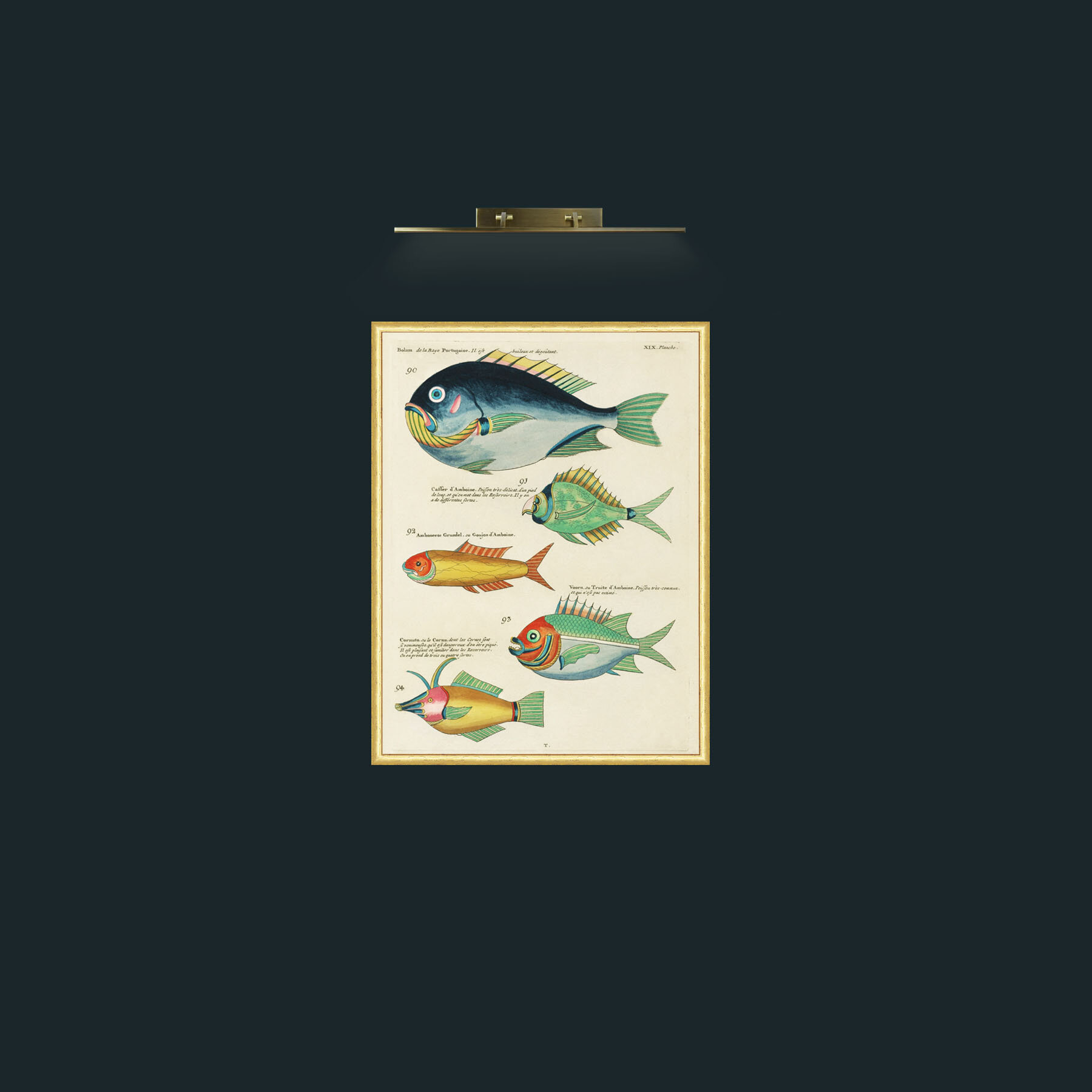 Art-Green and Orange Fish-Frame-3RoundedGilt.jpg
