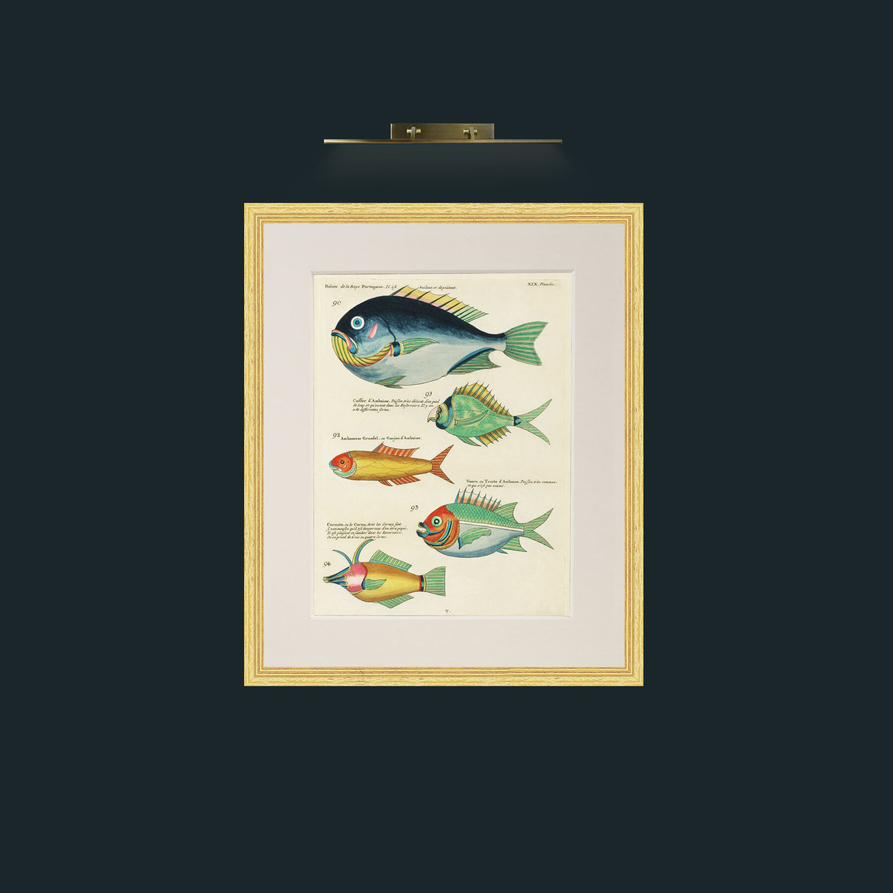 Art-Green and Orange Fish-Frame-4BevelledGilt-Mount-1Antique.jpg