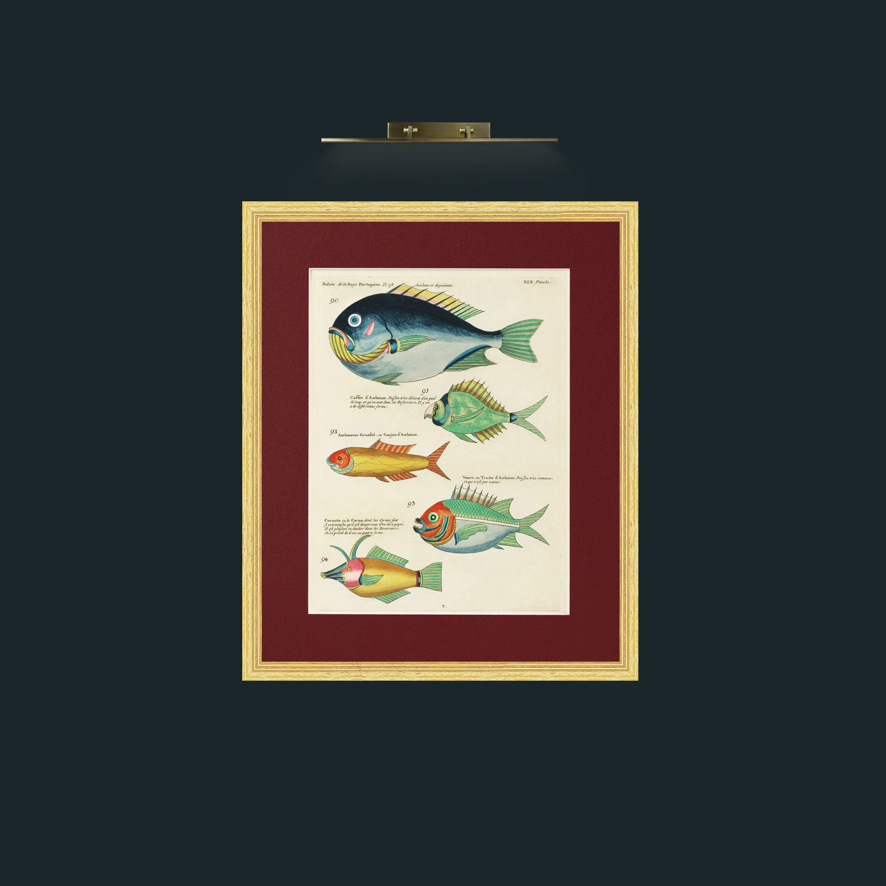 Art-Green and Orange Fish-Frame-4BevelledGilt-Mount-4Red.jpg