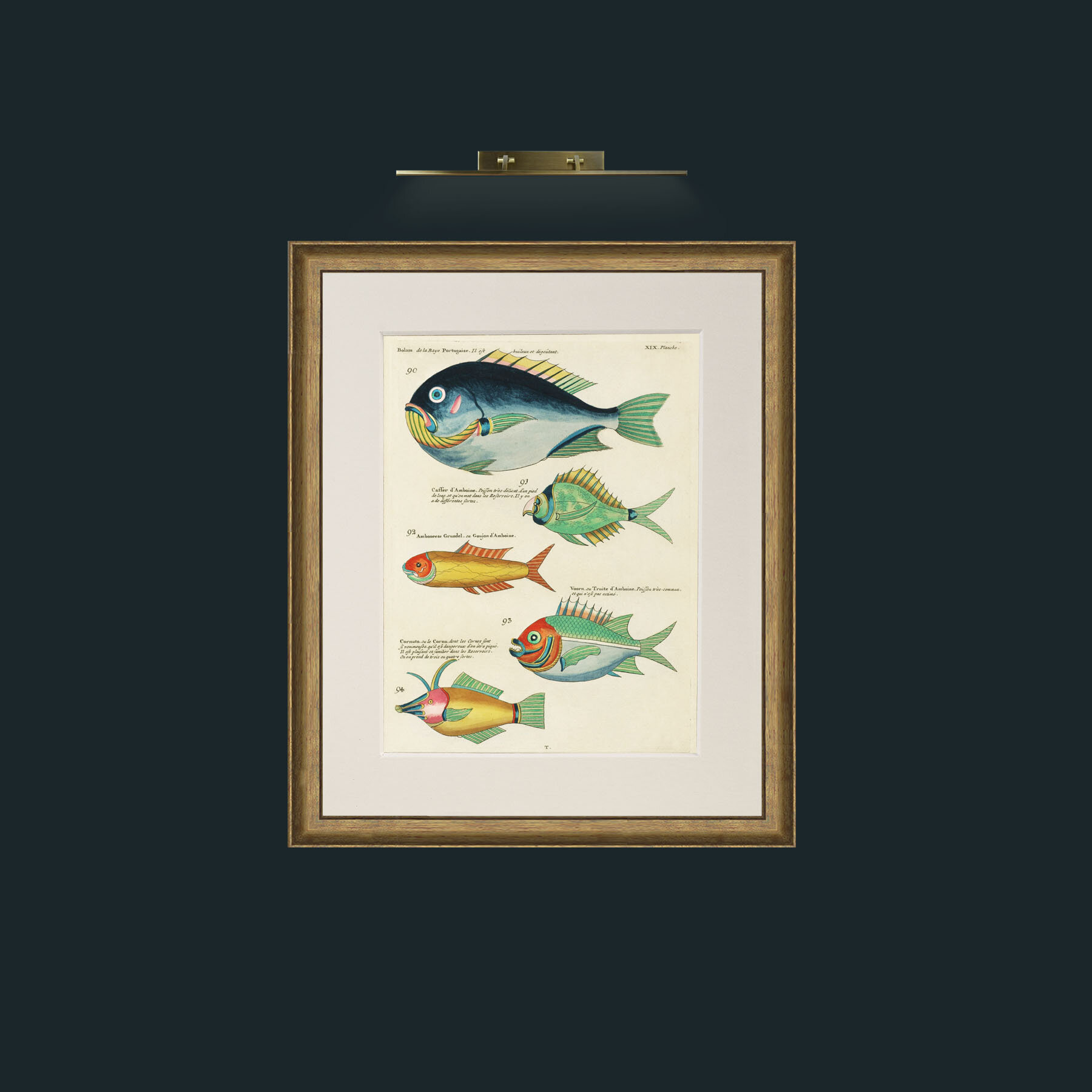 Art-Green and Orange Fish-Frame-8RedGreenGilt-Mount-1Antique.jpg