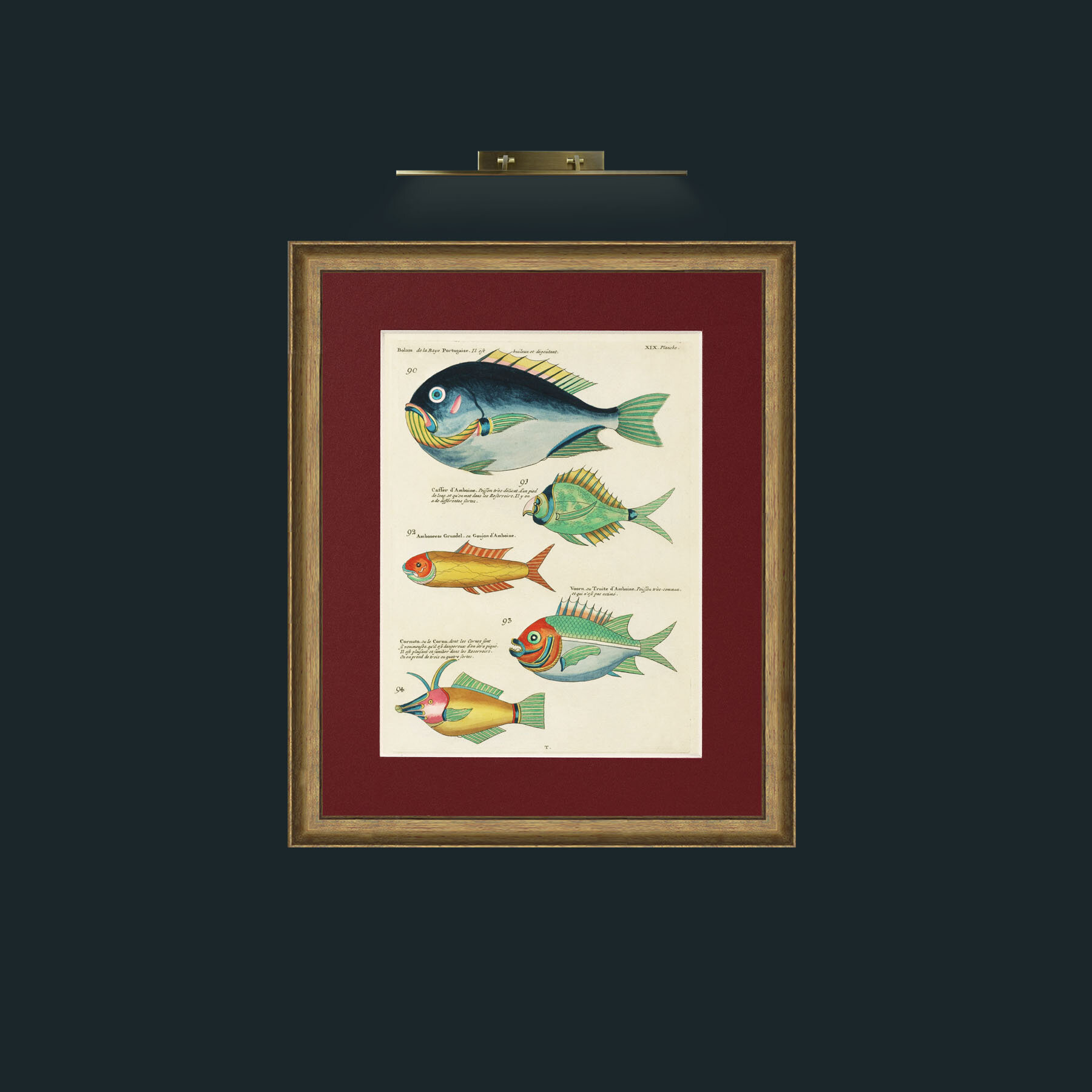 Art-Green and Orange Fish-Frame-8RedGreenGilt-Mount-4Red.jpg